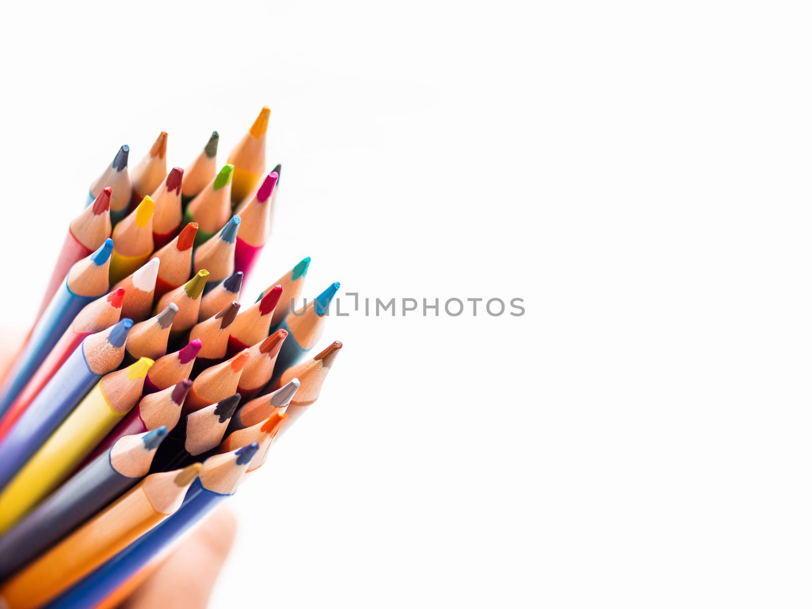 Hand with bunch of colorful pencils on white background. School supplies on white background. Kid's stationery. Back to school copy space backdrop.