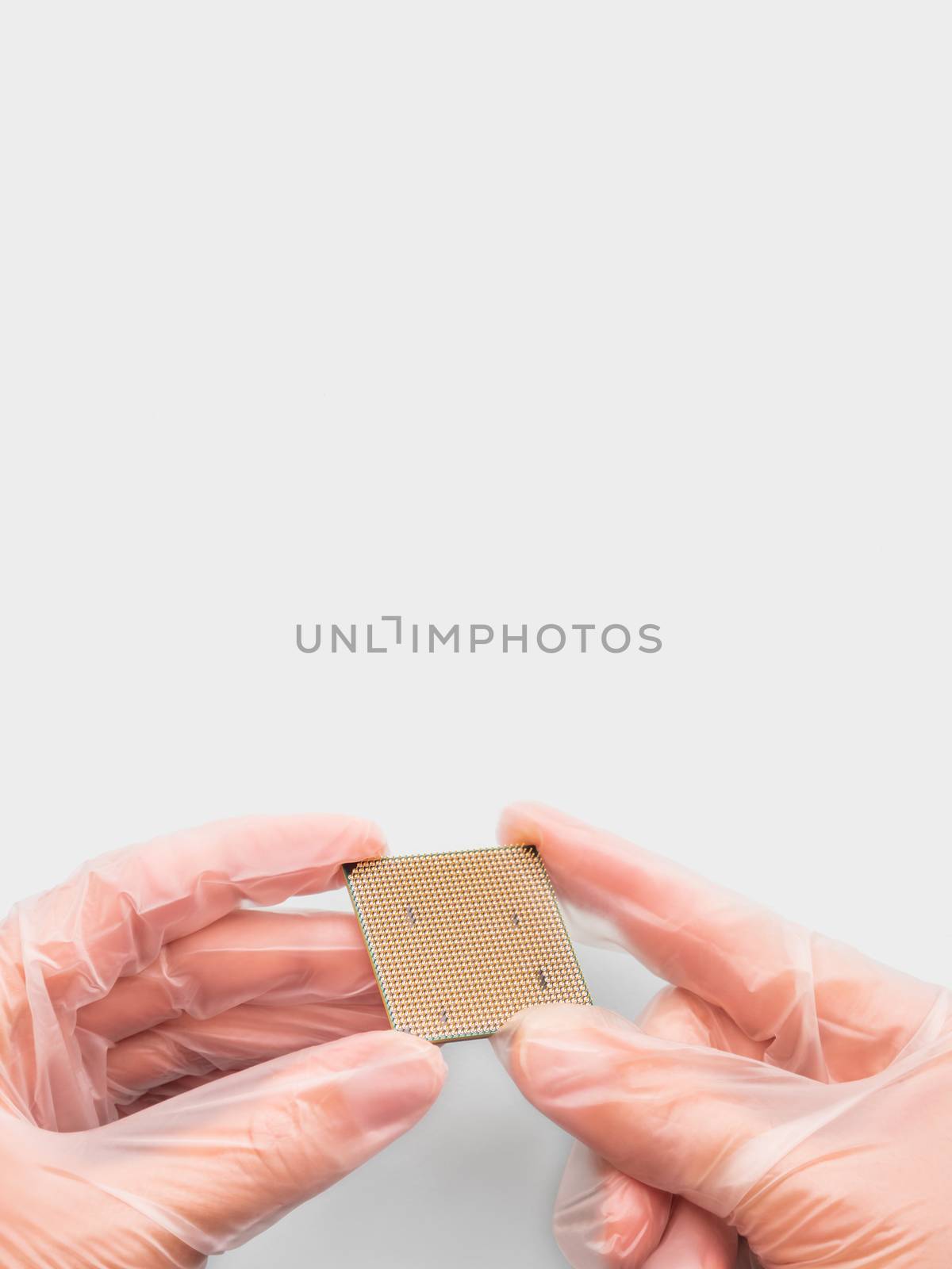 Hands in rubber glove with Central Computer Processor. CPU on grey background. Technological detail of personal computer.
