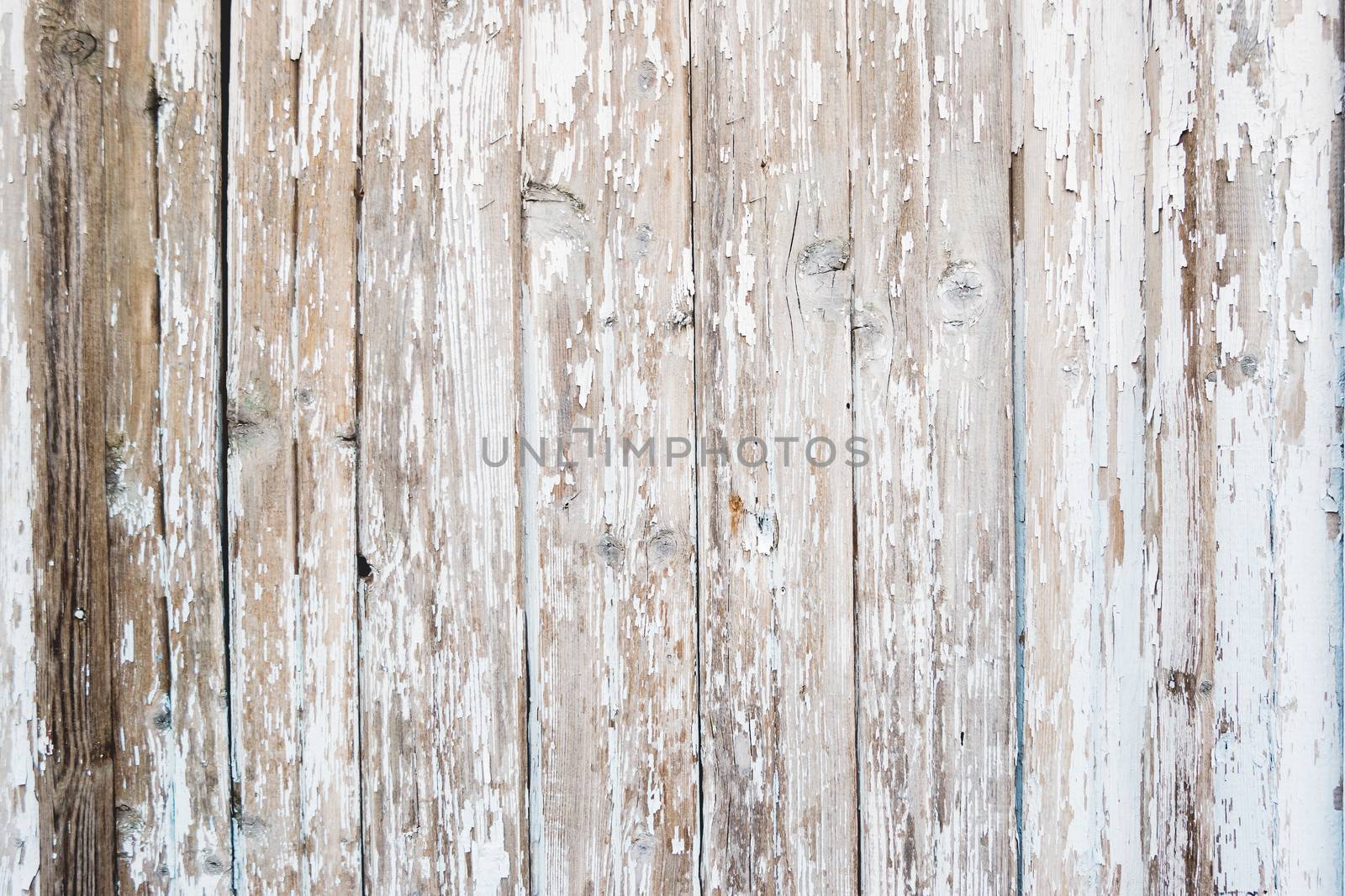 Wooden background of old fence with rusty nails. Shabby texture of white colored wooden boards.