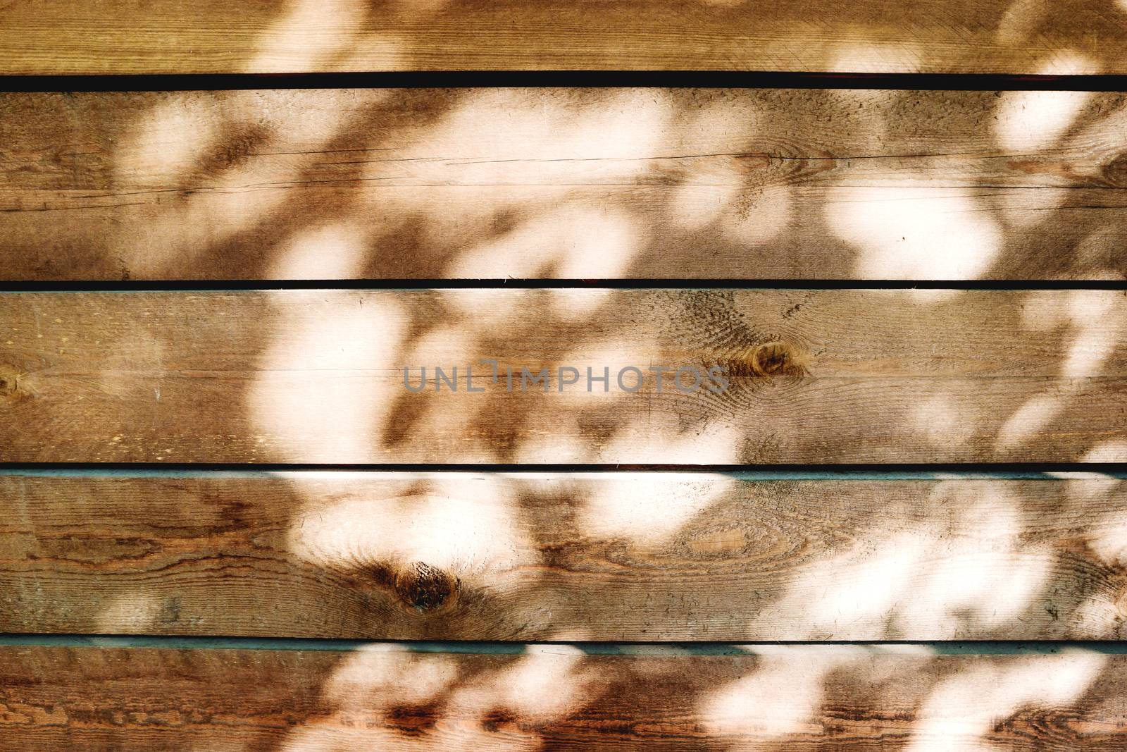 Wooden background of old fence with rusty nails. Shabby texture of wooden boards with sunlight spots.