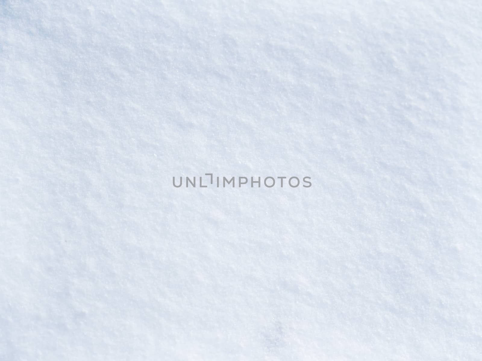 Clear snow. Natural winter background. Texture of many snowflakes.