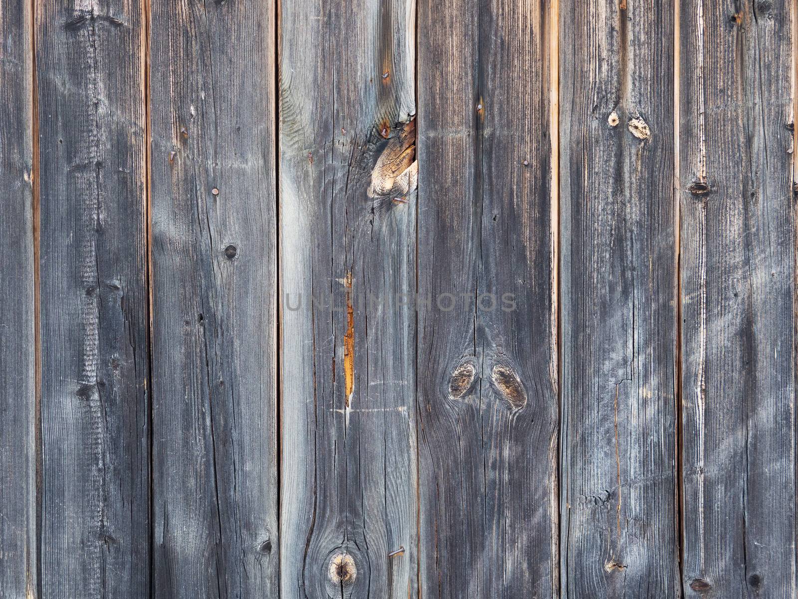 Wooden background of old fence with rusty nails. Shabby texture of blue colored wooden boards.