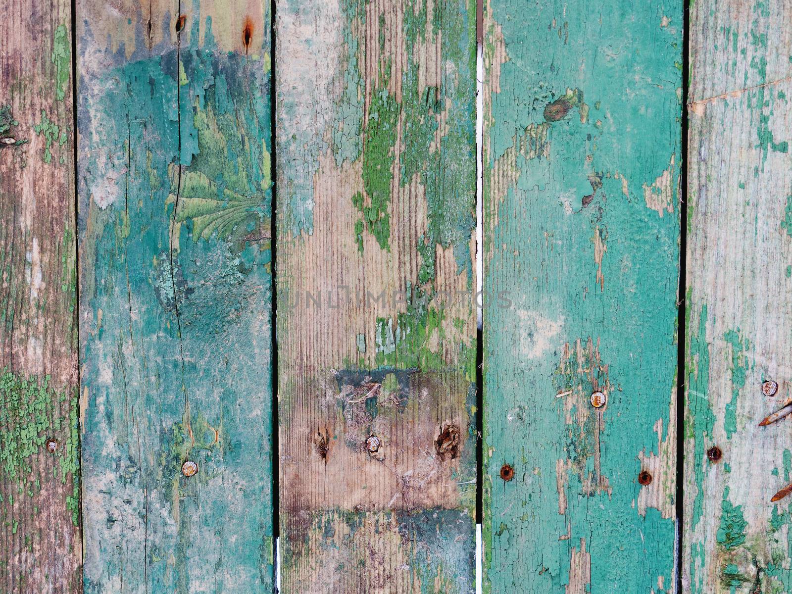 Wooden background of old fence with rusty nails. Shabby texture of green colored wooden boards.