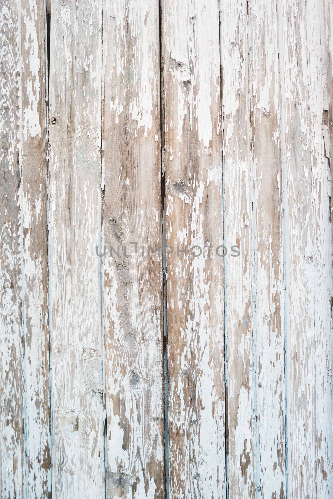 Wooden background of old fence with rusty nails. Shabby texture of white colored wooden boards.