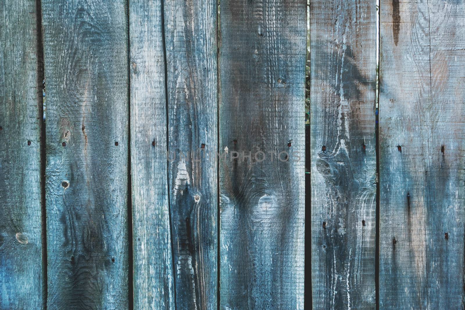 Wooden background of old fence with rusty nails. Shabby texture of blue colored wooden boards.