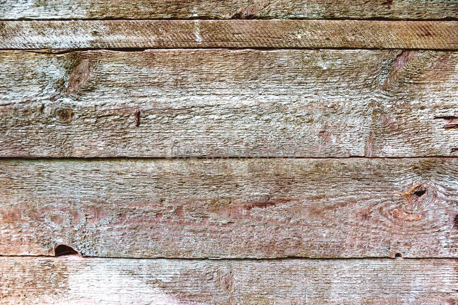 Wooden background of old fence with rusty nails. Shabby texture of wooden boards.
