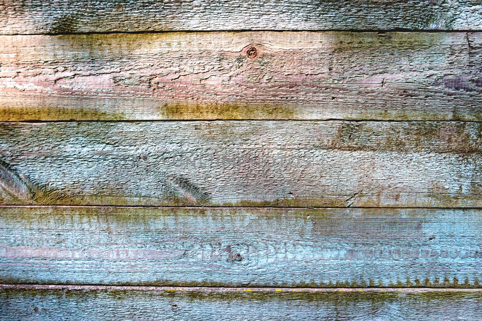 Wooden background of old fence with rusty nails. Shabby texture of colorful wooden boards.