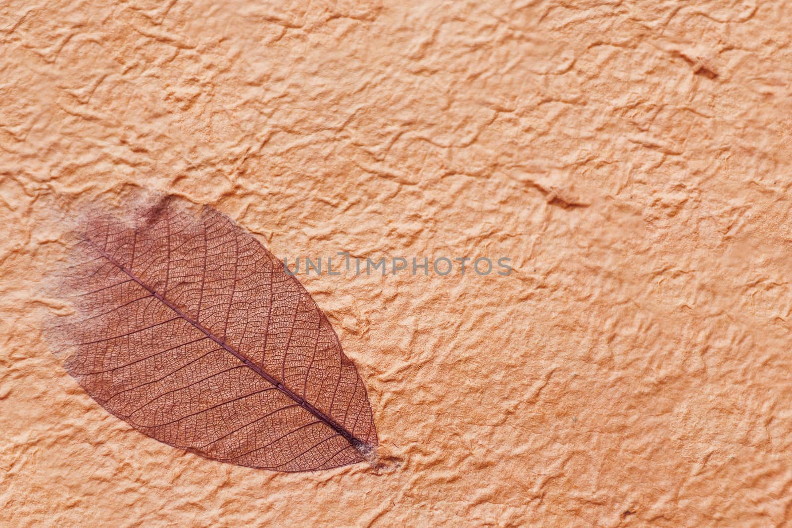 Abstract texture background. Handmade wrinkled paper with fibers and leaf.