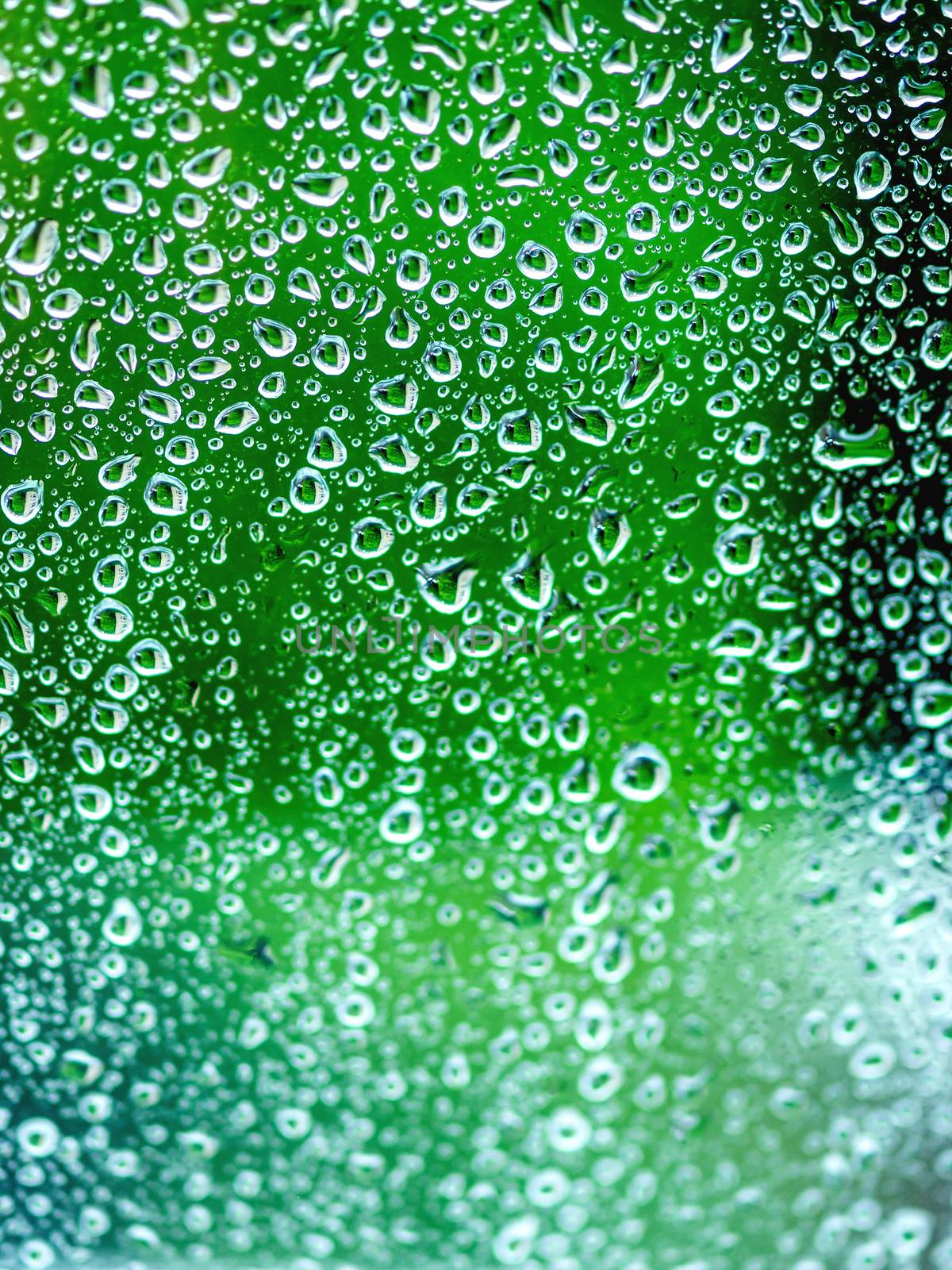 Rain drops on glass. Silhouettes of green water drops on a transparent surface.