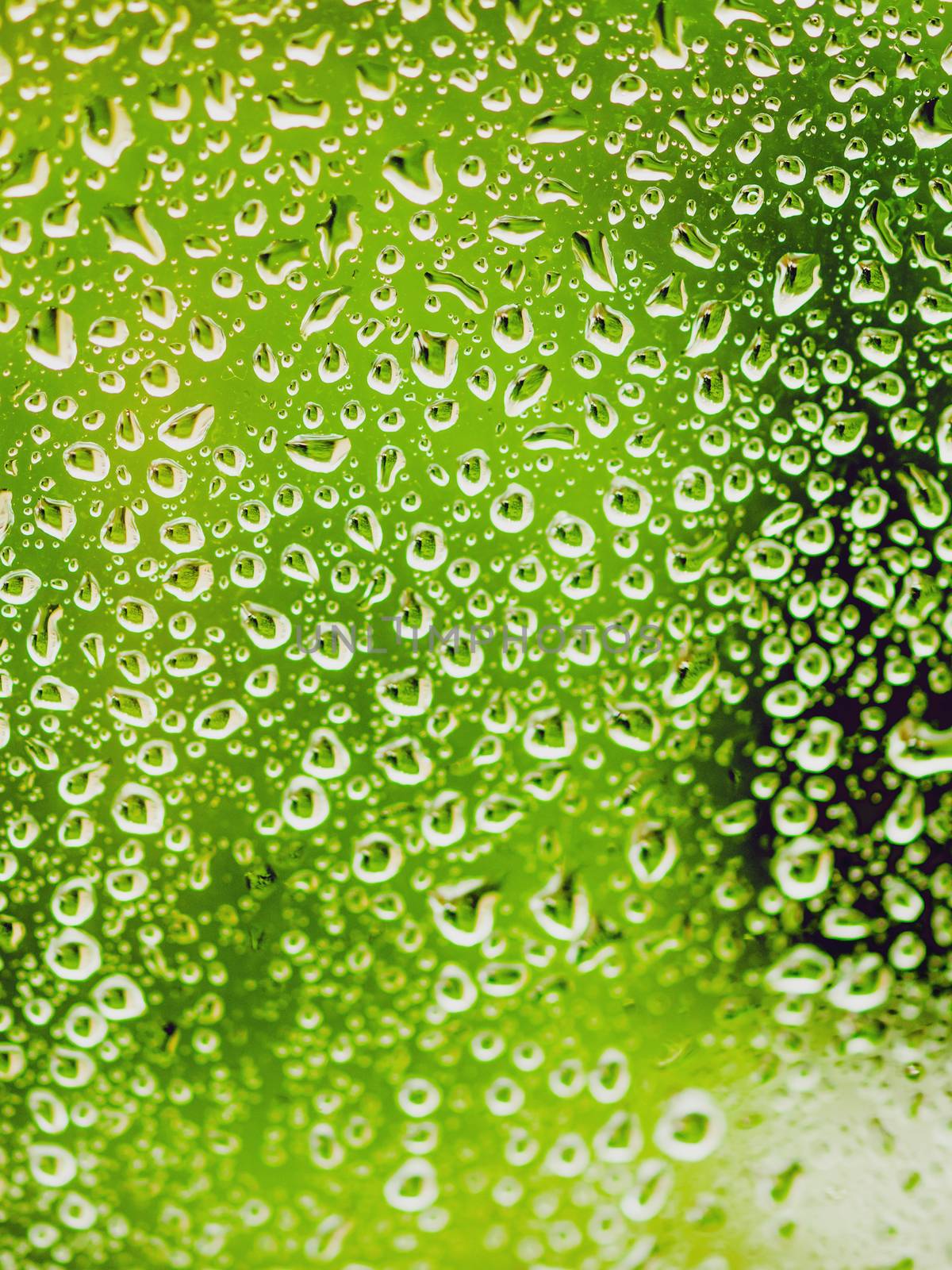 Rain drops on glass. Silhouettes of green water drops on a transparent surface.
