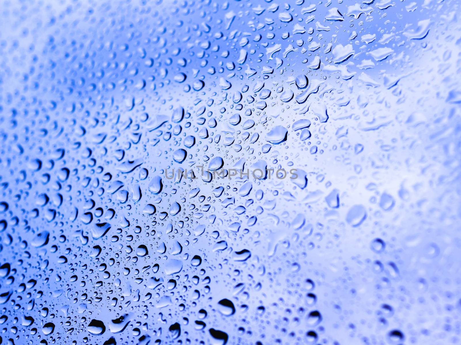 Rain drops on glass. Silhouettes of blue water drops on a transparent surface.