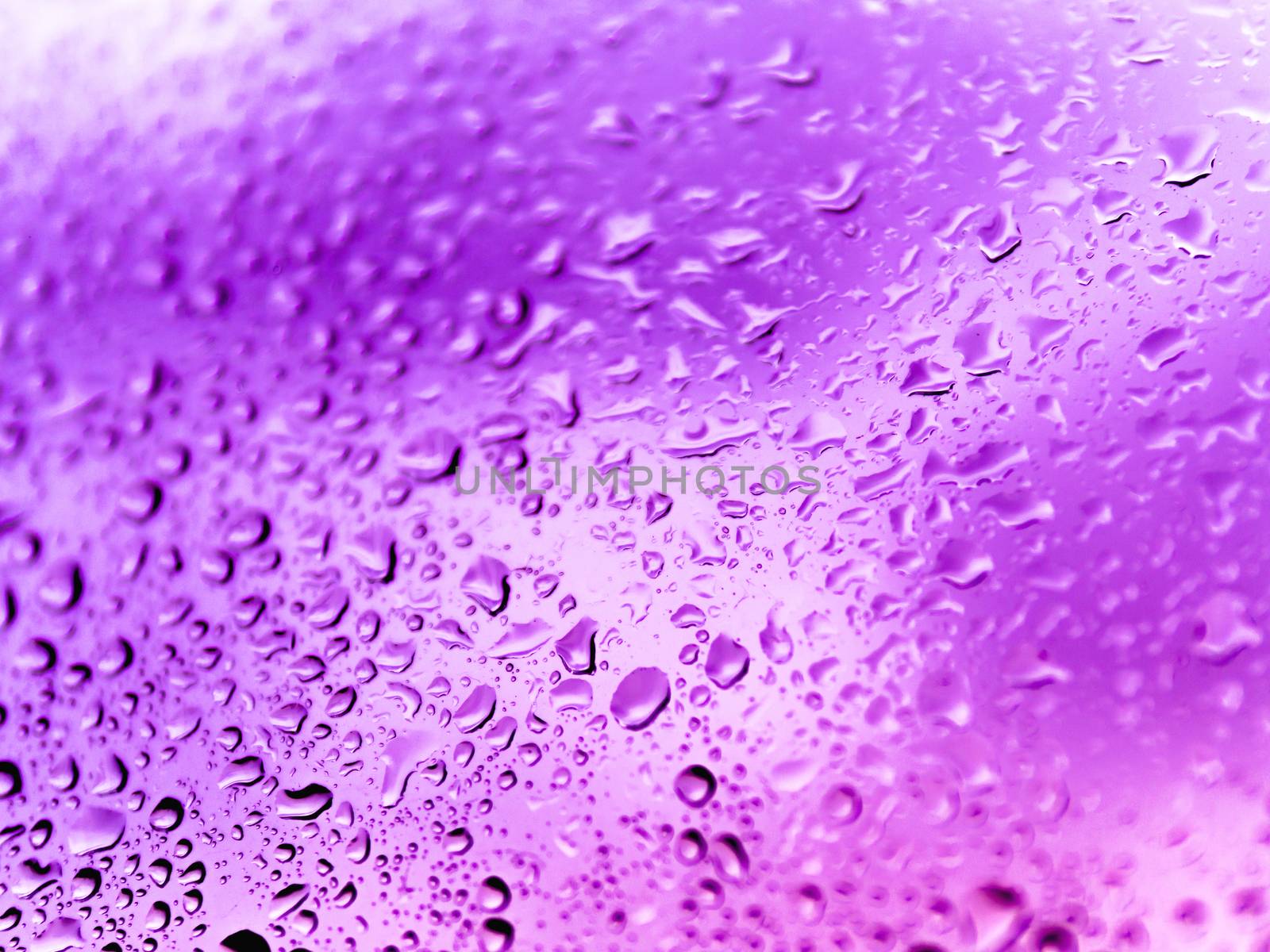 Rain drops on glass. Silhouettes of violet water drops on a transparent surface.