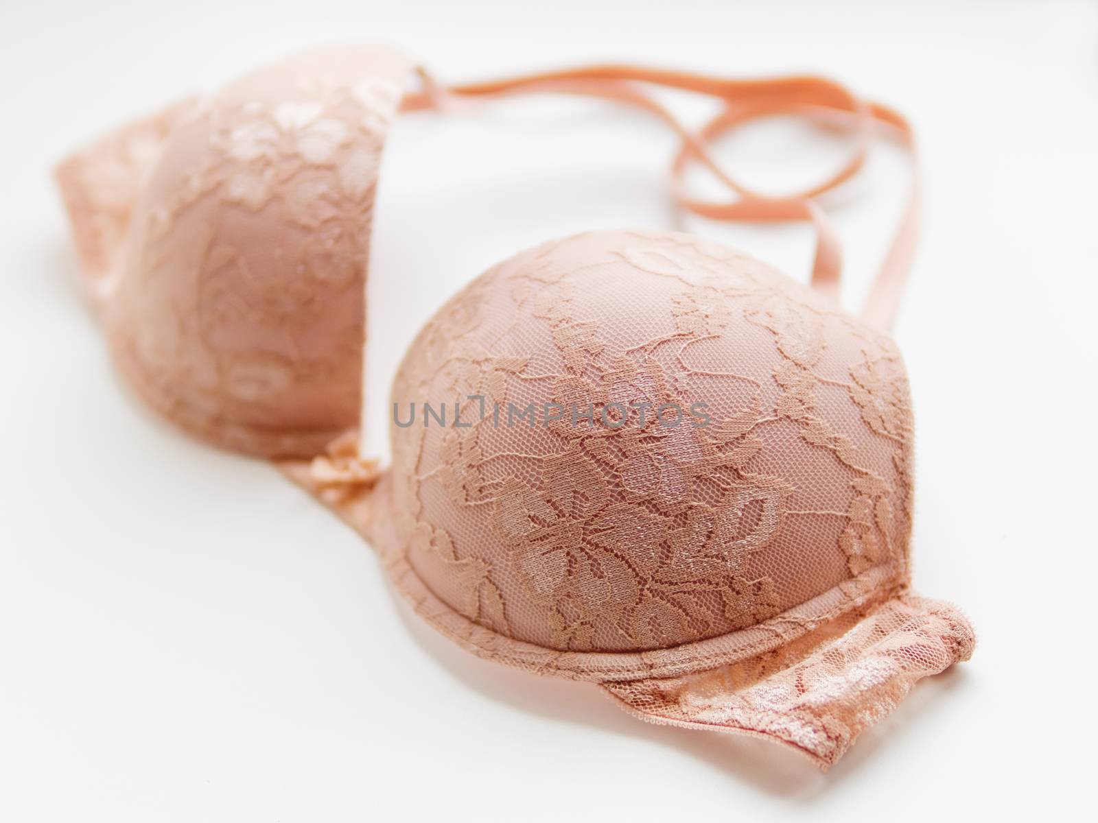 Beige lace bra on white background. Elegant underwear.