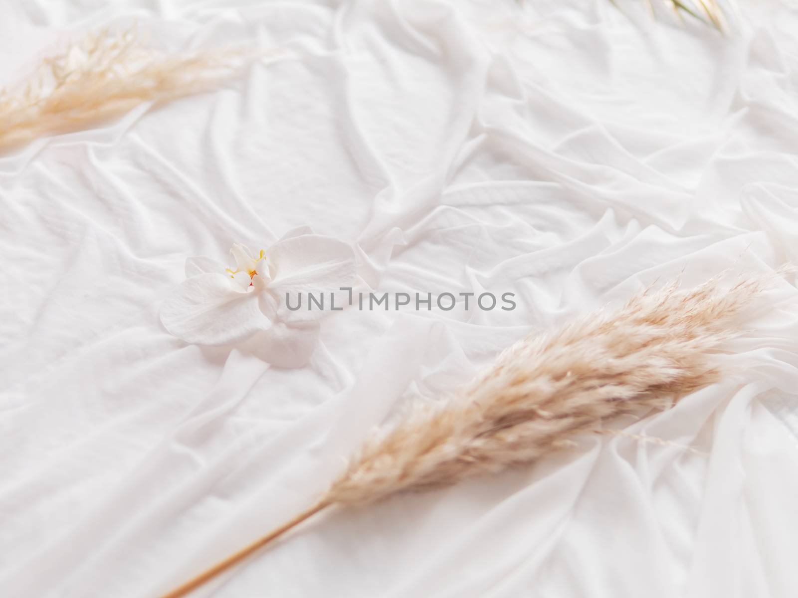 Phalaenopsis Orchid and Cortaderia selloana (pampas grass) on white fabric.Graceful background with flowers and folded textile. Cozy stilllife backdrop.