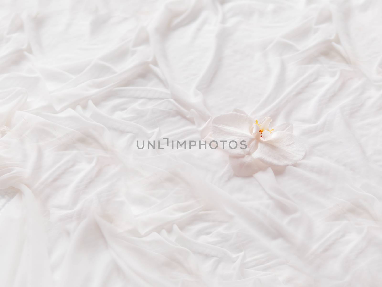 Phalaenopsis Orchid on white fabric. Graceful background with flower and folded textile. Cozy stilllife backdrop.