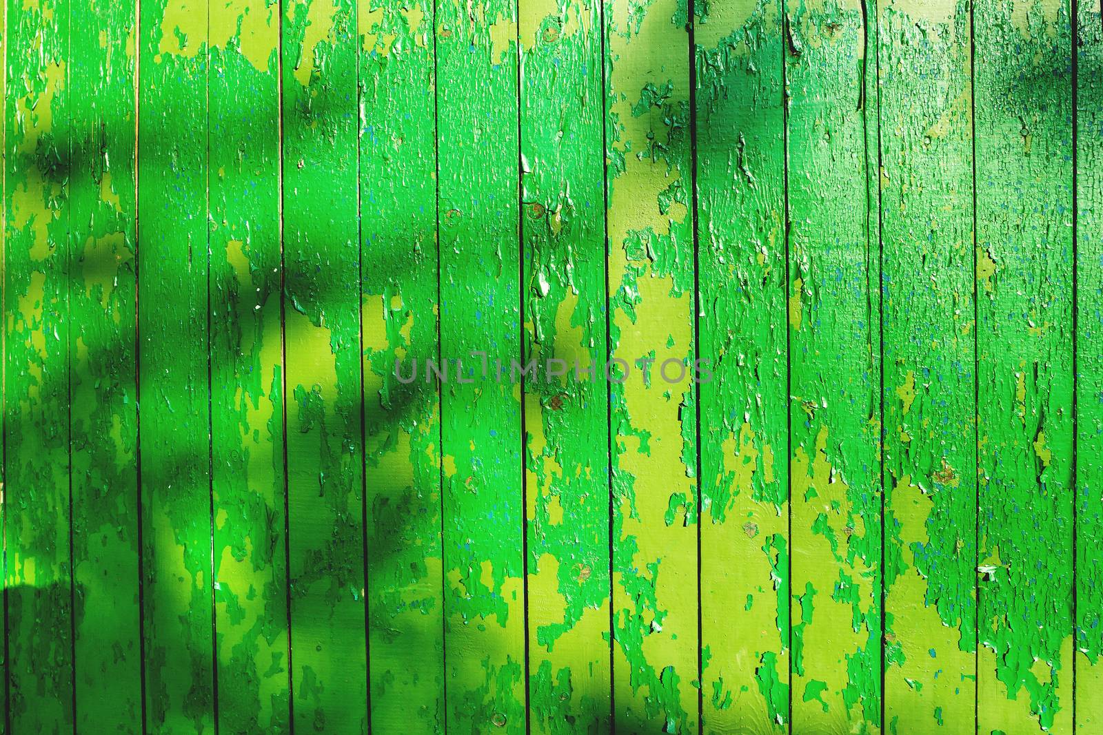 Wooden background of old fence with rusty nails. Shabby texture of green wooden boards.