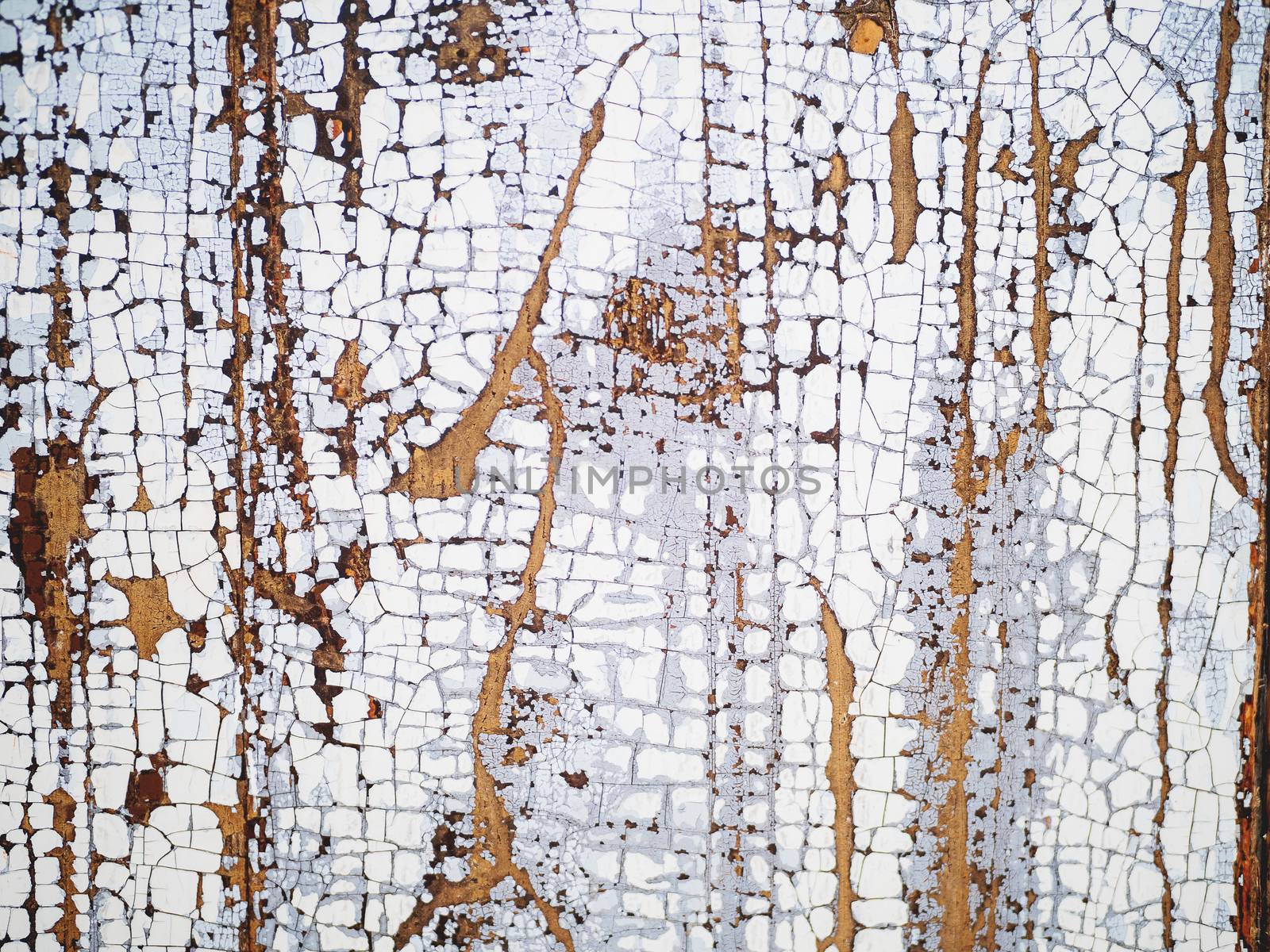 Wooden background of old fence with rusty nails. Shabby texture of white colored wooden boards.