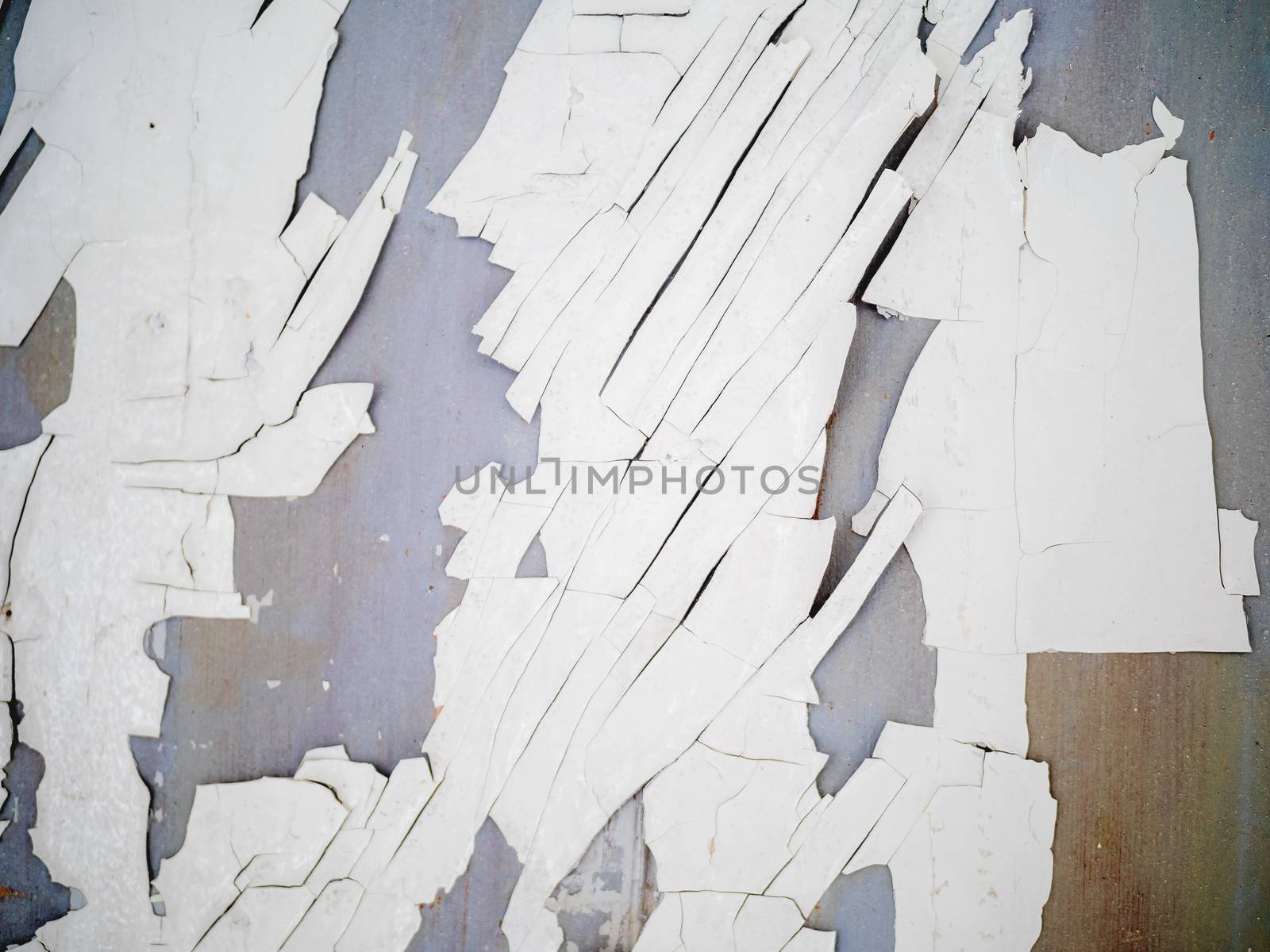 Wooden background of old fence with rusty nails. Shabby texture of white colored wooden boards.