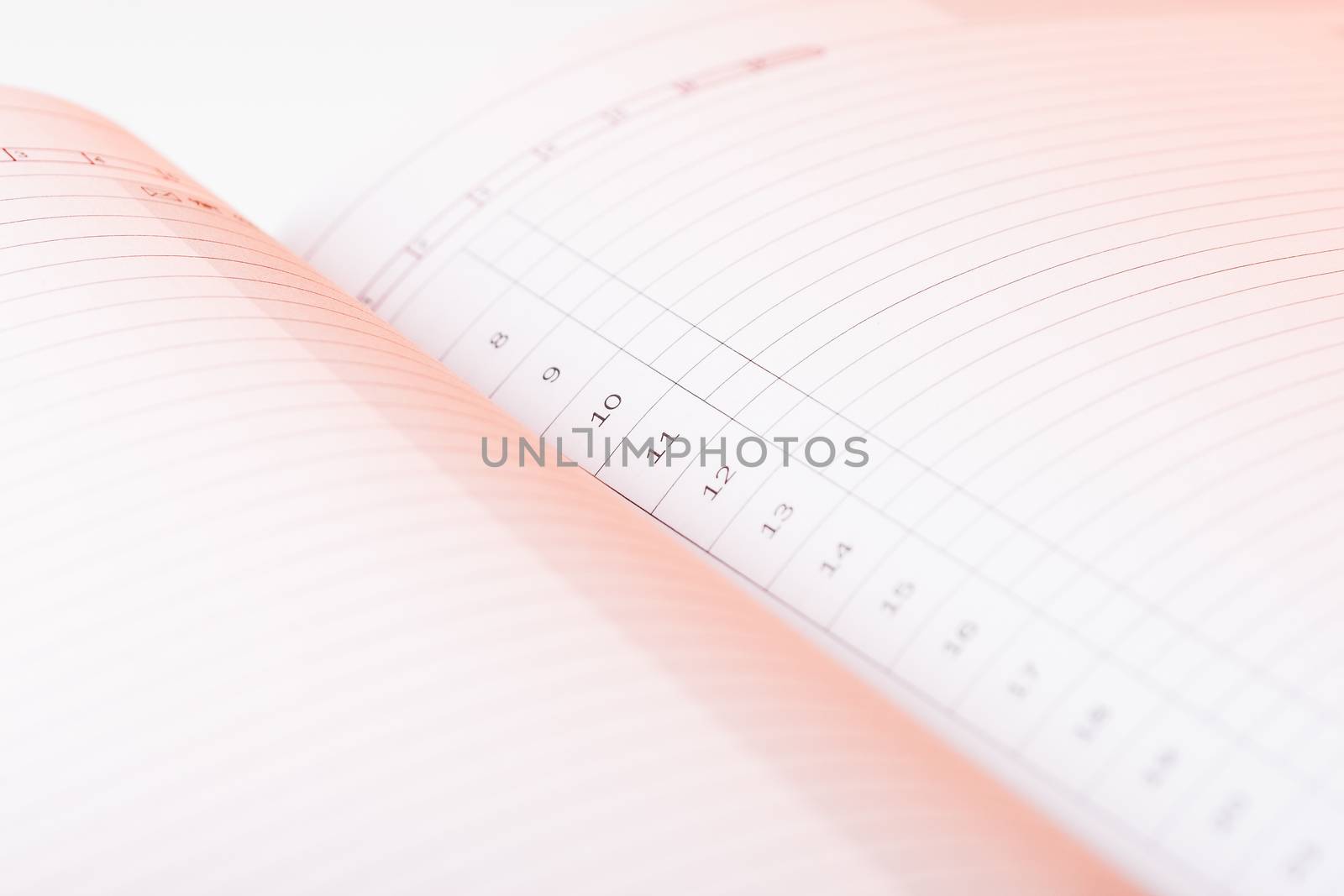 Clear pages of undated diary. Pink light falls on the numbered lines of daily planner. To do list.