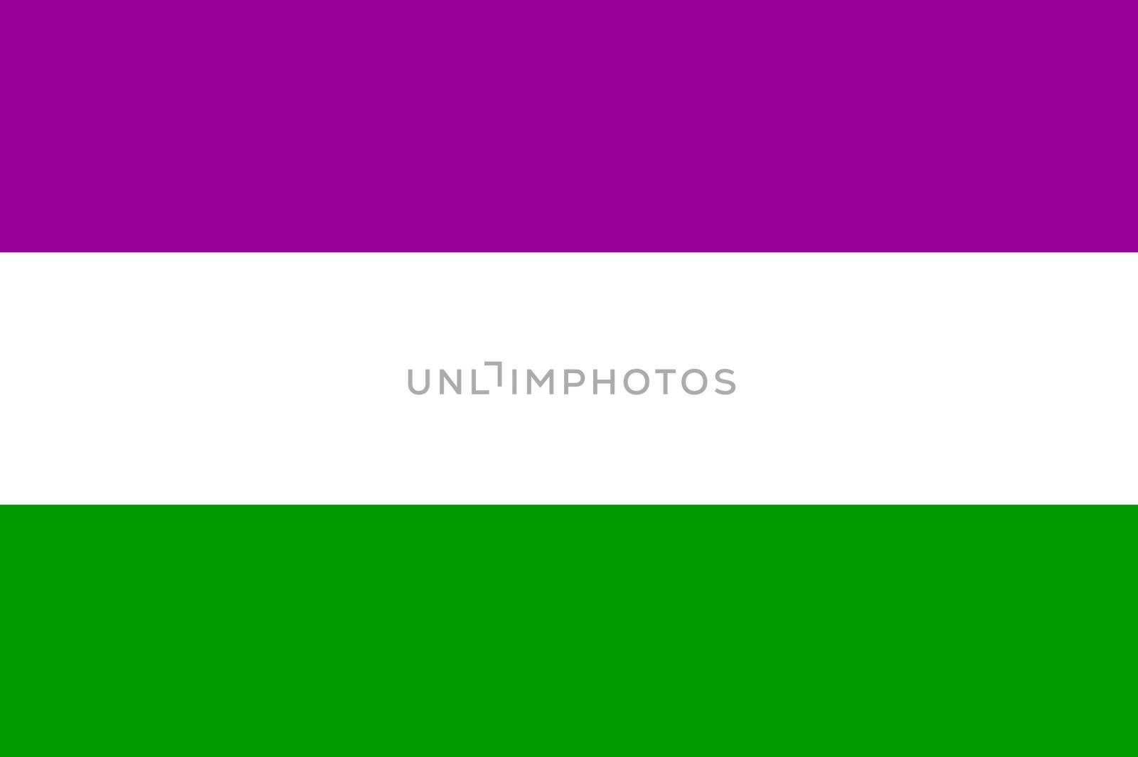 Suffragette flag symbol by tony4urban