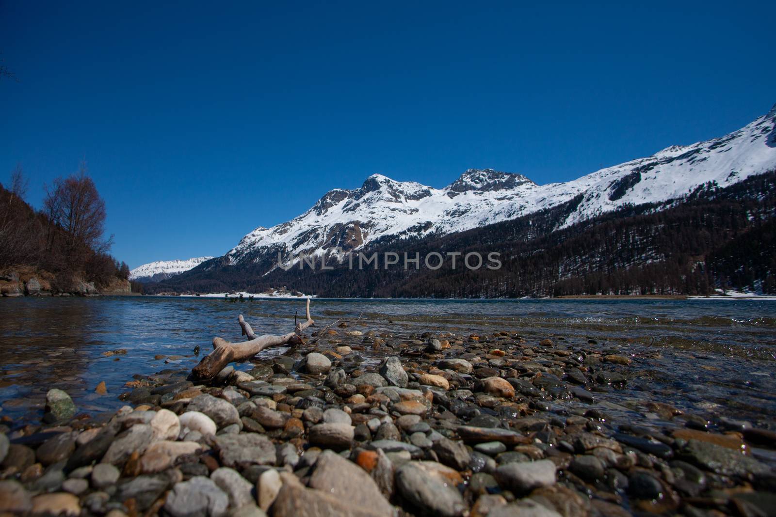 Silvaplana lake in Engadine in Switzerland. by PeterHofstetter