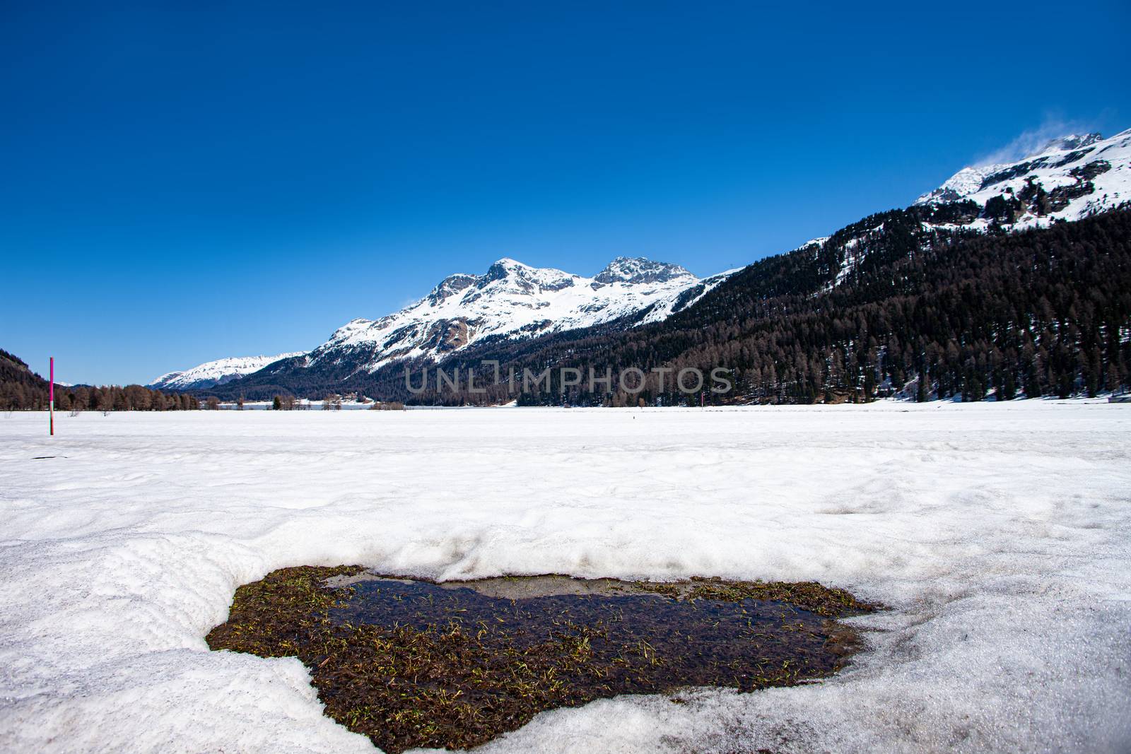 Silvaplana lake in Engadine in Switzerland. by PeterHofstetter