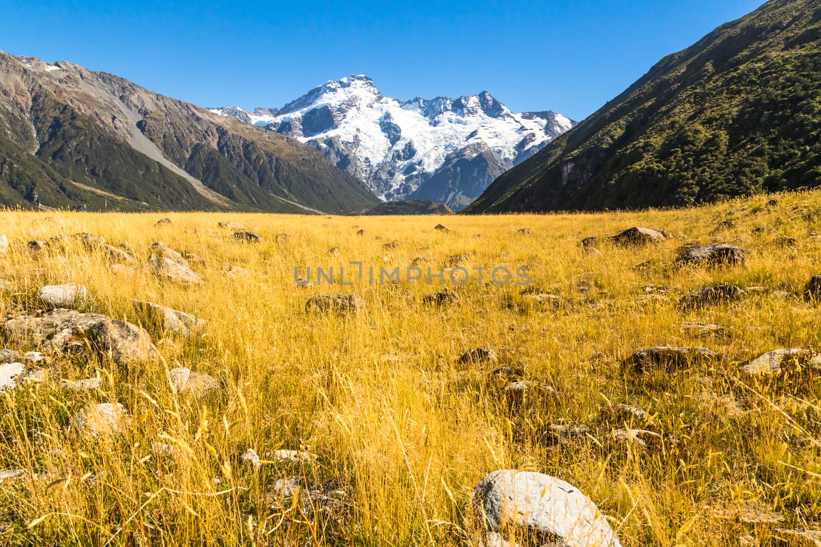 Aoraki Mount Cook National Park, New Zealand, Oceania. by SeuMelhorClick