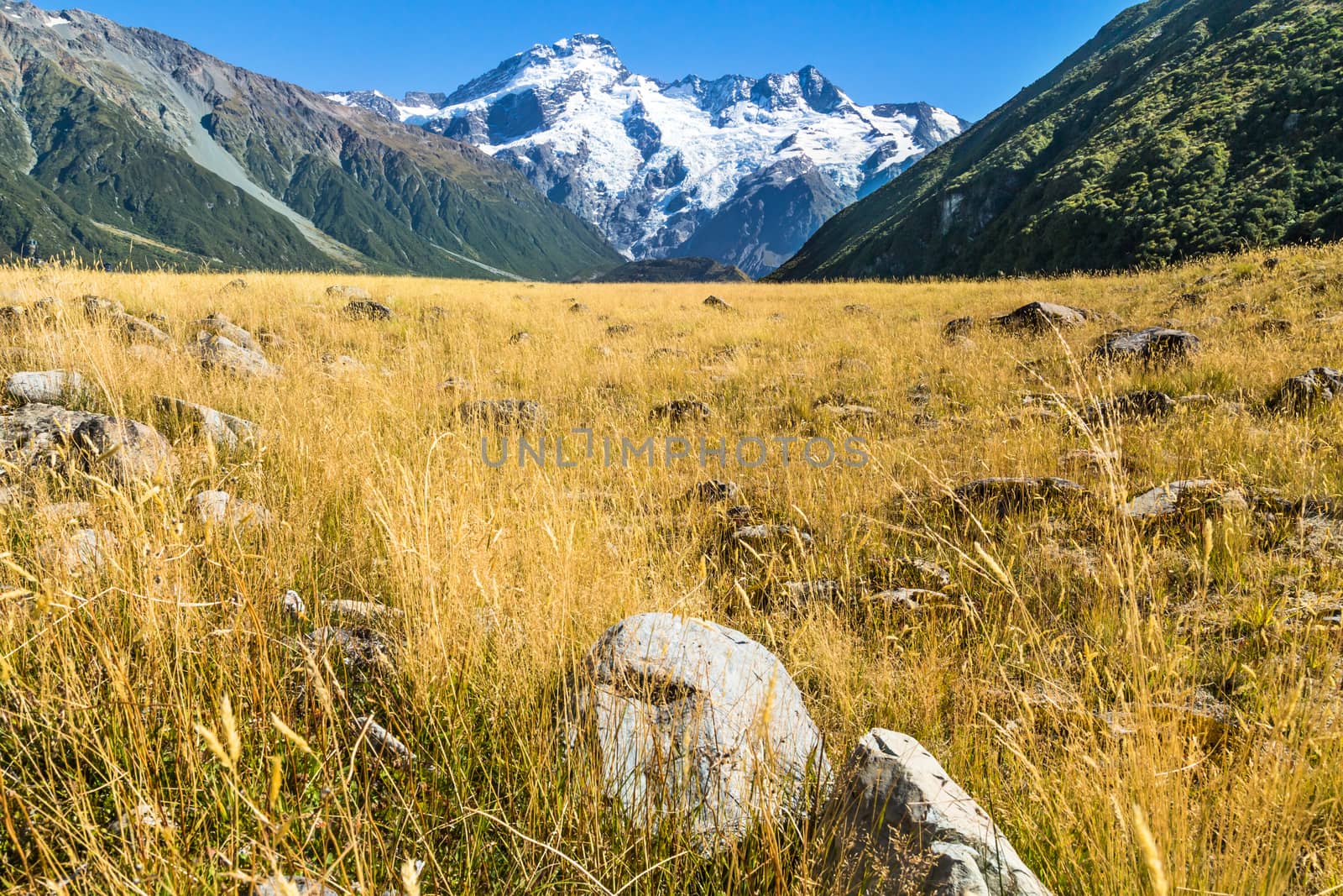 Aoraki Mount Cook National Park, New Zealand, Oceania. by SeuMelhorClick