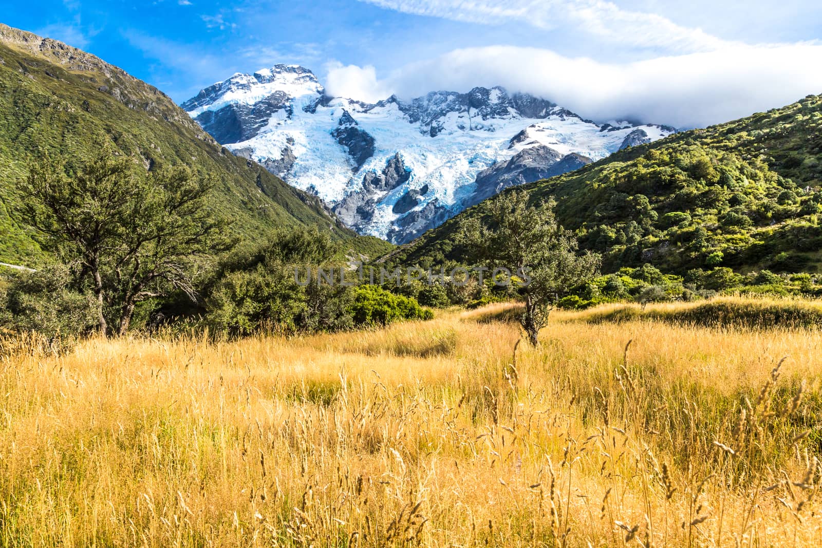 Aoraki Mount Cook National Park, New Zealand, Oceania. by SeuMelhorClick