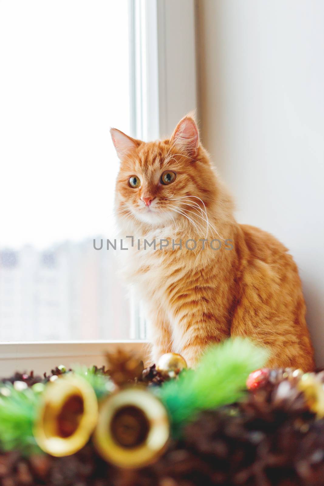 Cute ginger cat sitting on window sill near handmade Christmas wreath. Fluffy pet and craft New Year decoration.