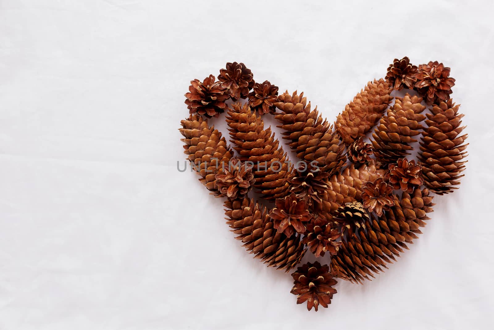 Heart of pine cones and fir cones on white background. Place for your text.