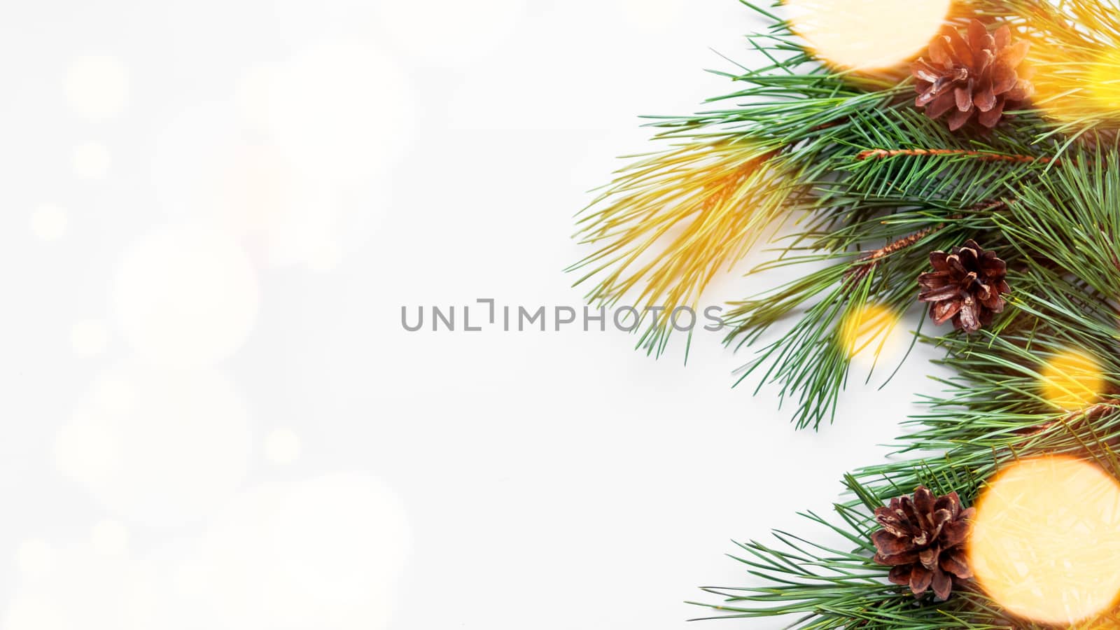 Banner with pine tree branches and cones. White background with coniferous tree branches and light bulbs.