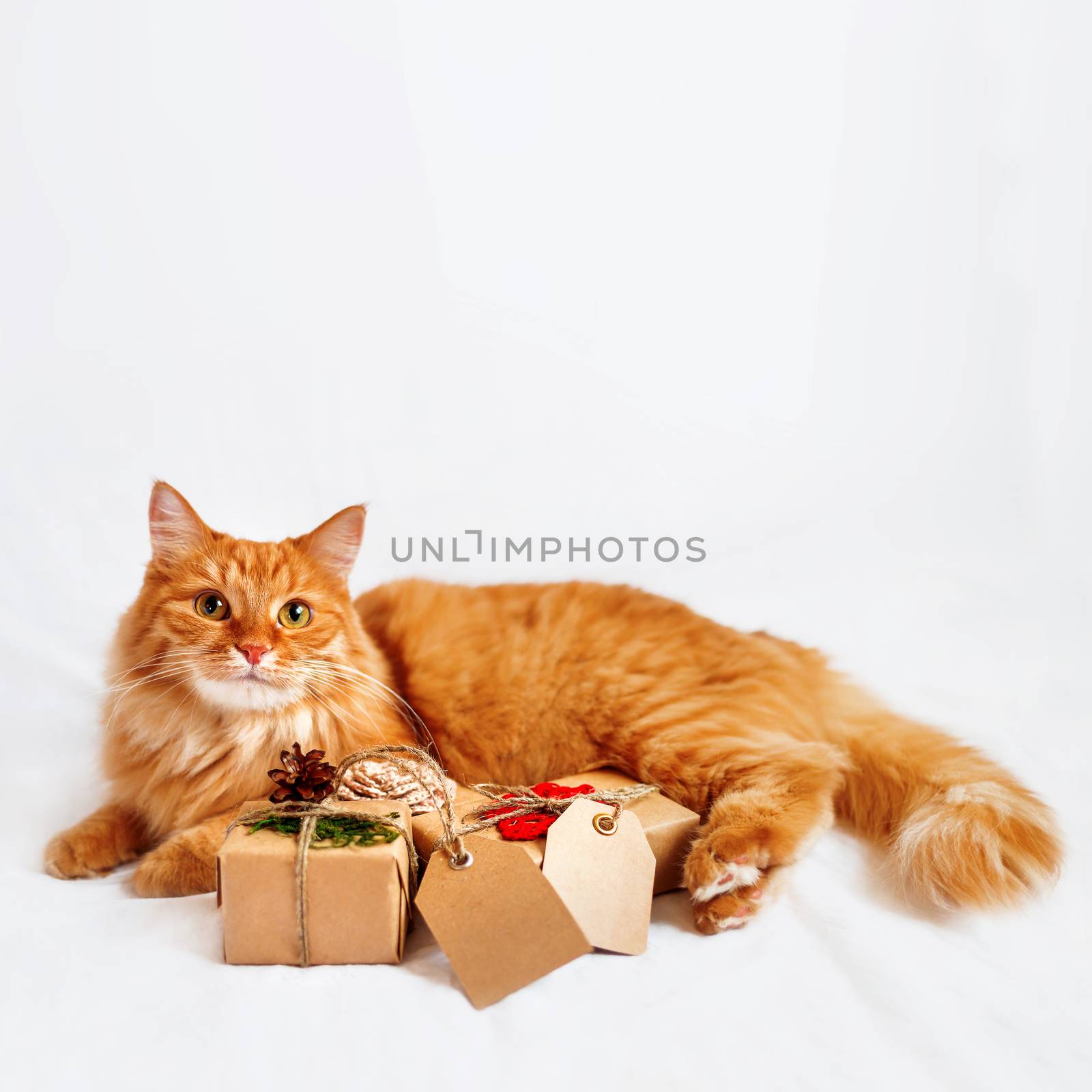 Cute ginger cat with stack of Christmas presents. New Year gifts are wrapped in craft paper and have clear tags for your text. by aksenovko