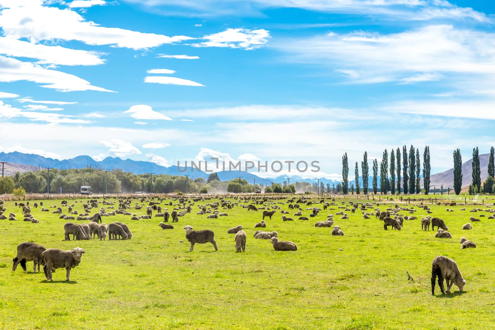 Queenstown in New Zealand by SeuMelhorClick