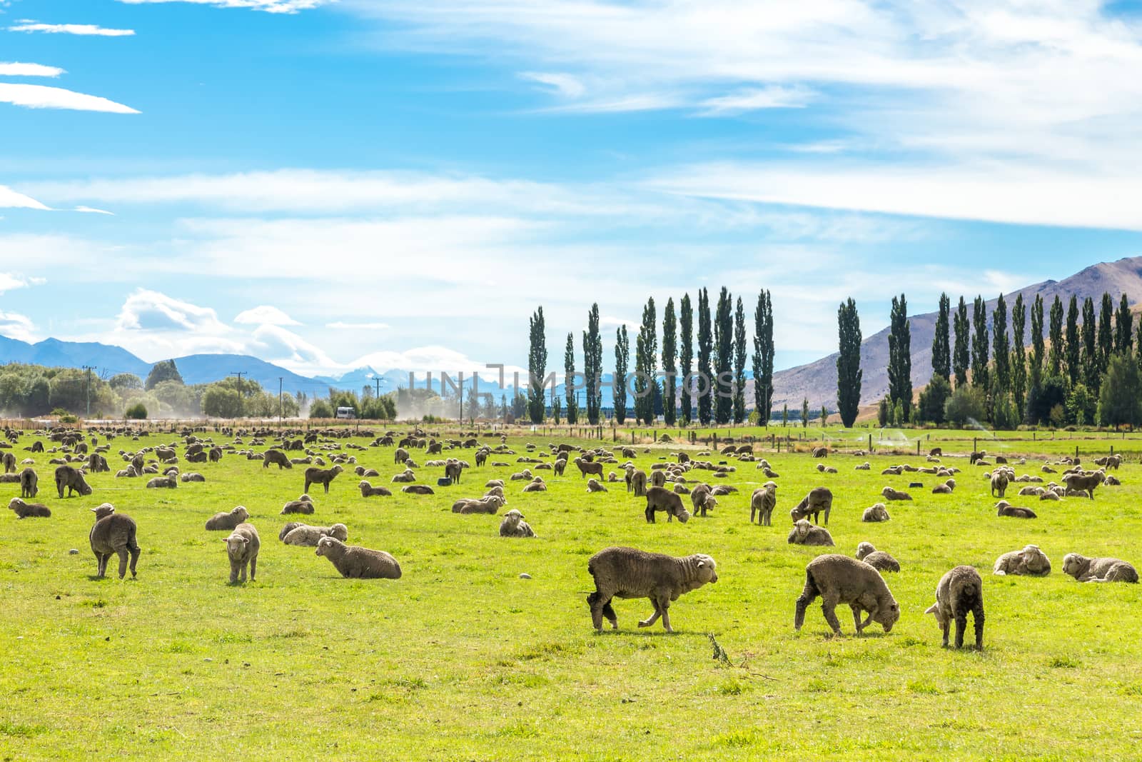 Queenstown in New Zealand. The city of adventure and nature.