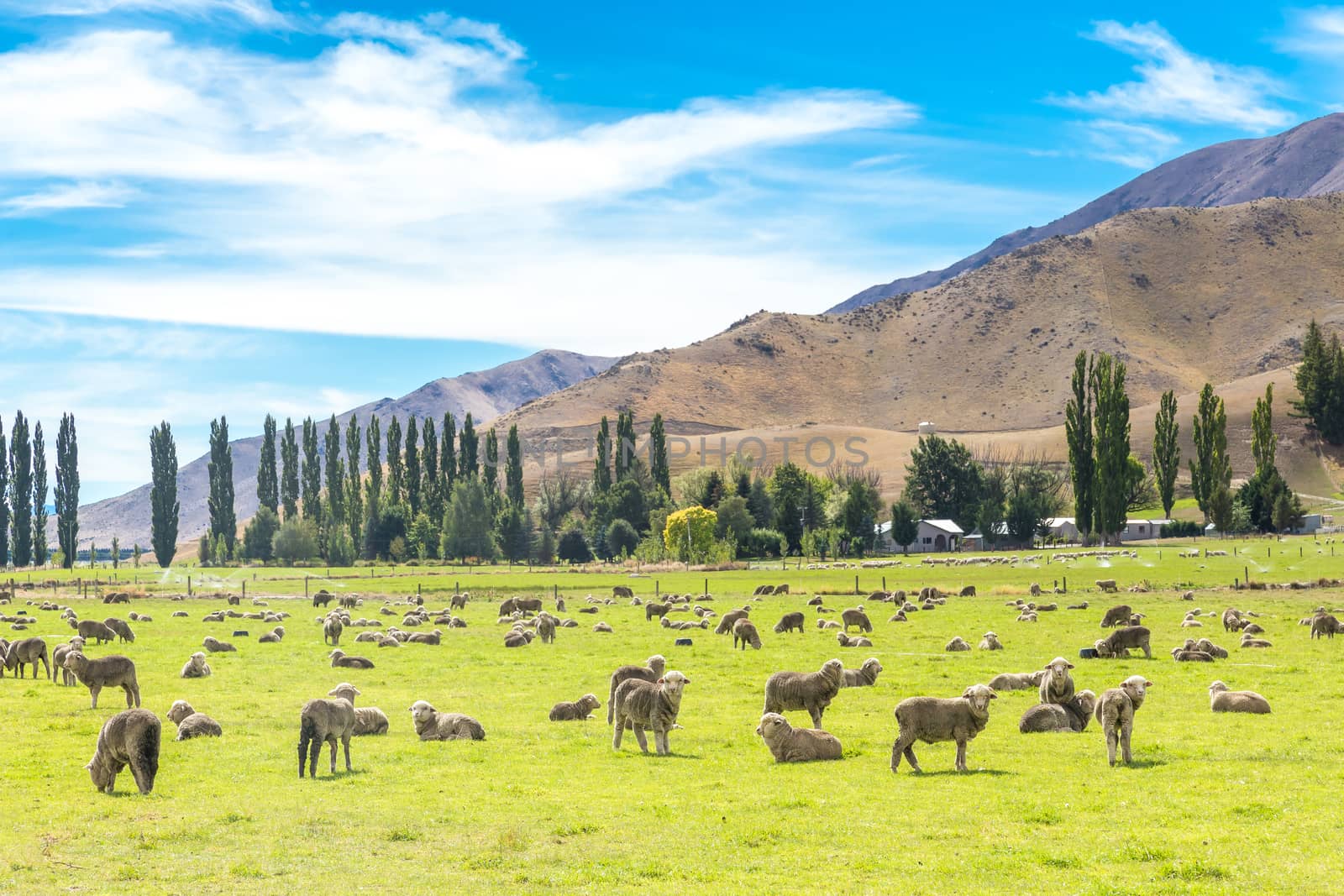 Queenstown in New Zealand by SeuMelhorClick