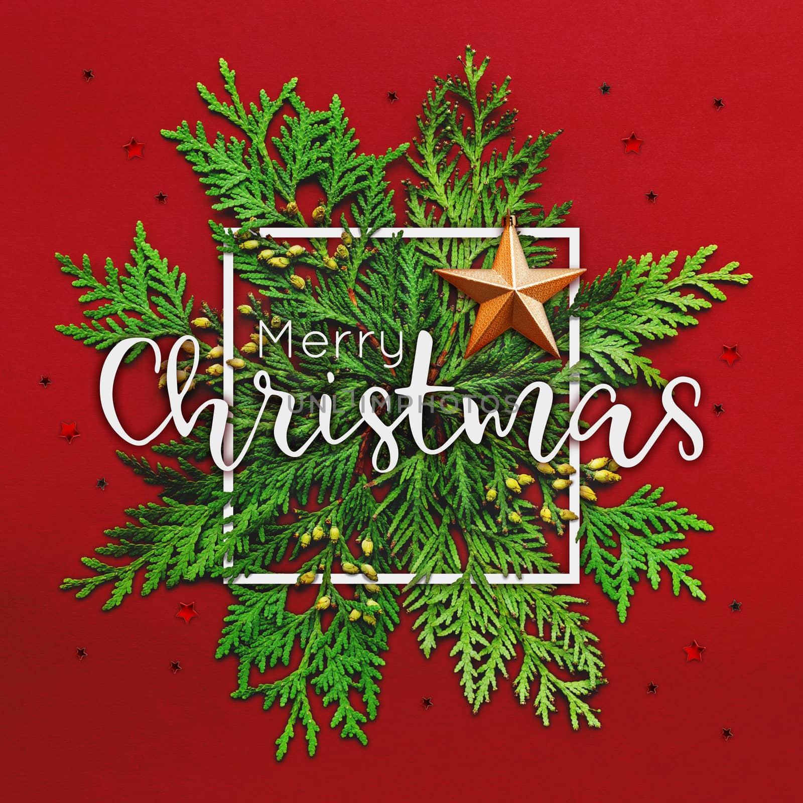 Christmas background with thuja branches and words MERRY CHRISTMAS in white square frame. Trendy Xmas greeting with star decorations on red backdrop.