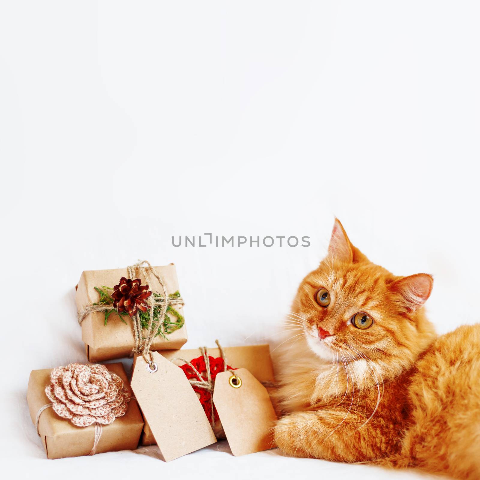 Cute ginger cat lies with stack of Christmas presents. New Year gifts are wrapped in craft paper and have empty tags for your text. by aksenovko