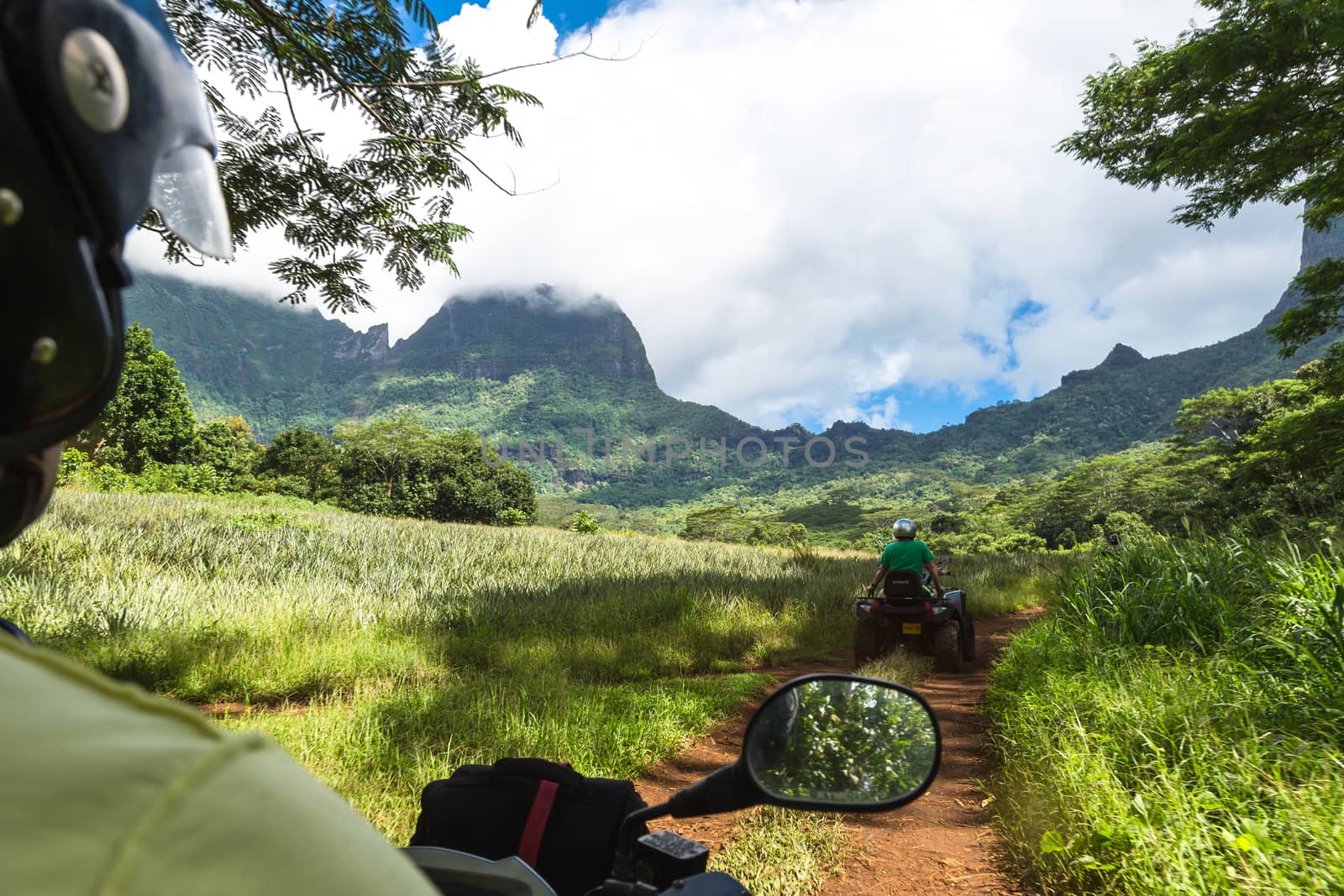 Moorea Island in the French Polynesia.