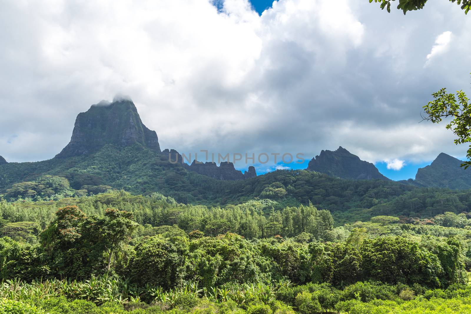 Moorea Island in the French Polynesia.