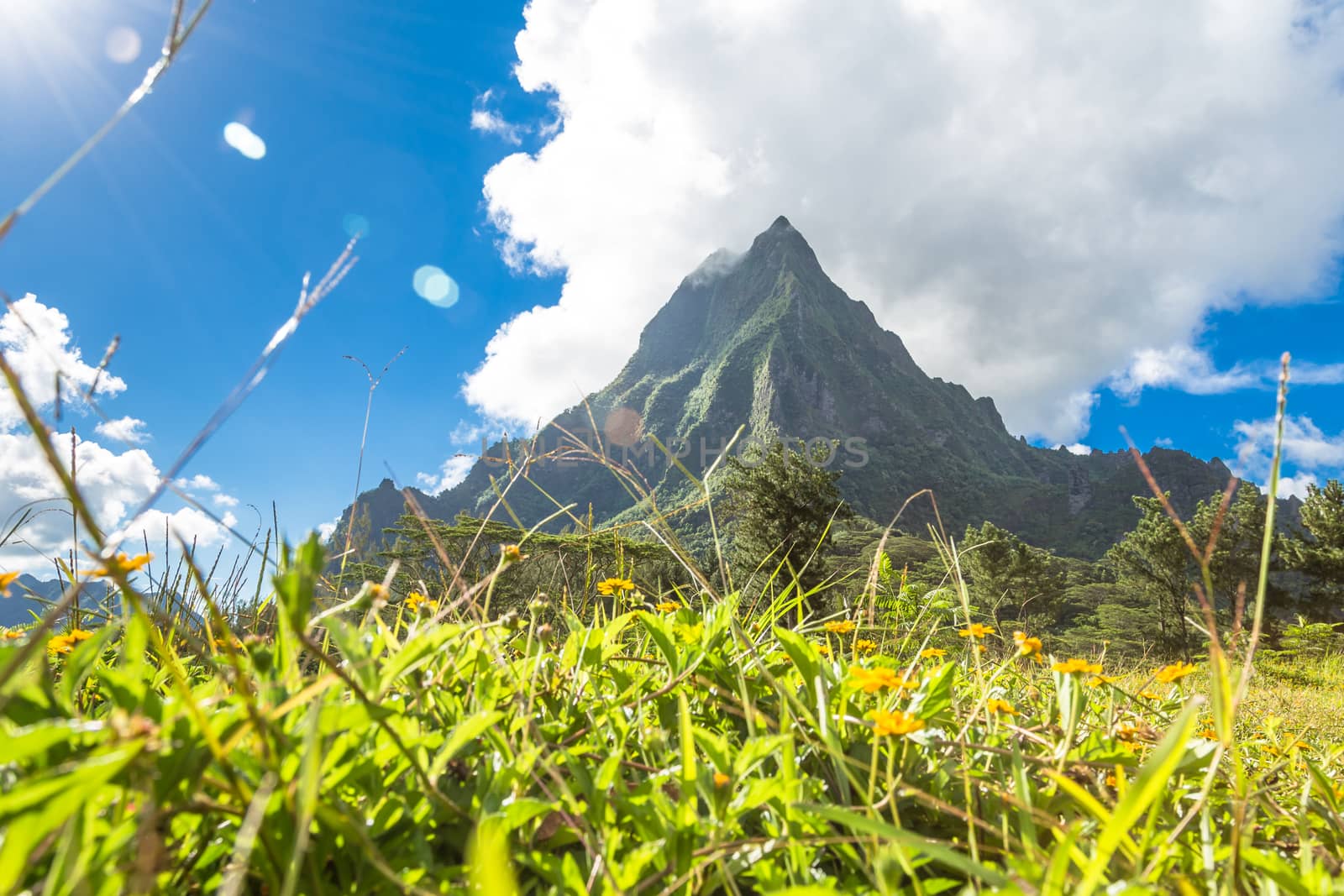 Moorea Island in the French Polynesia. by SeuMelhorClick