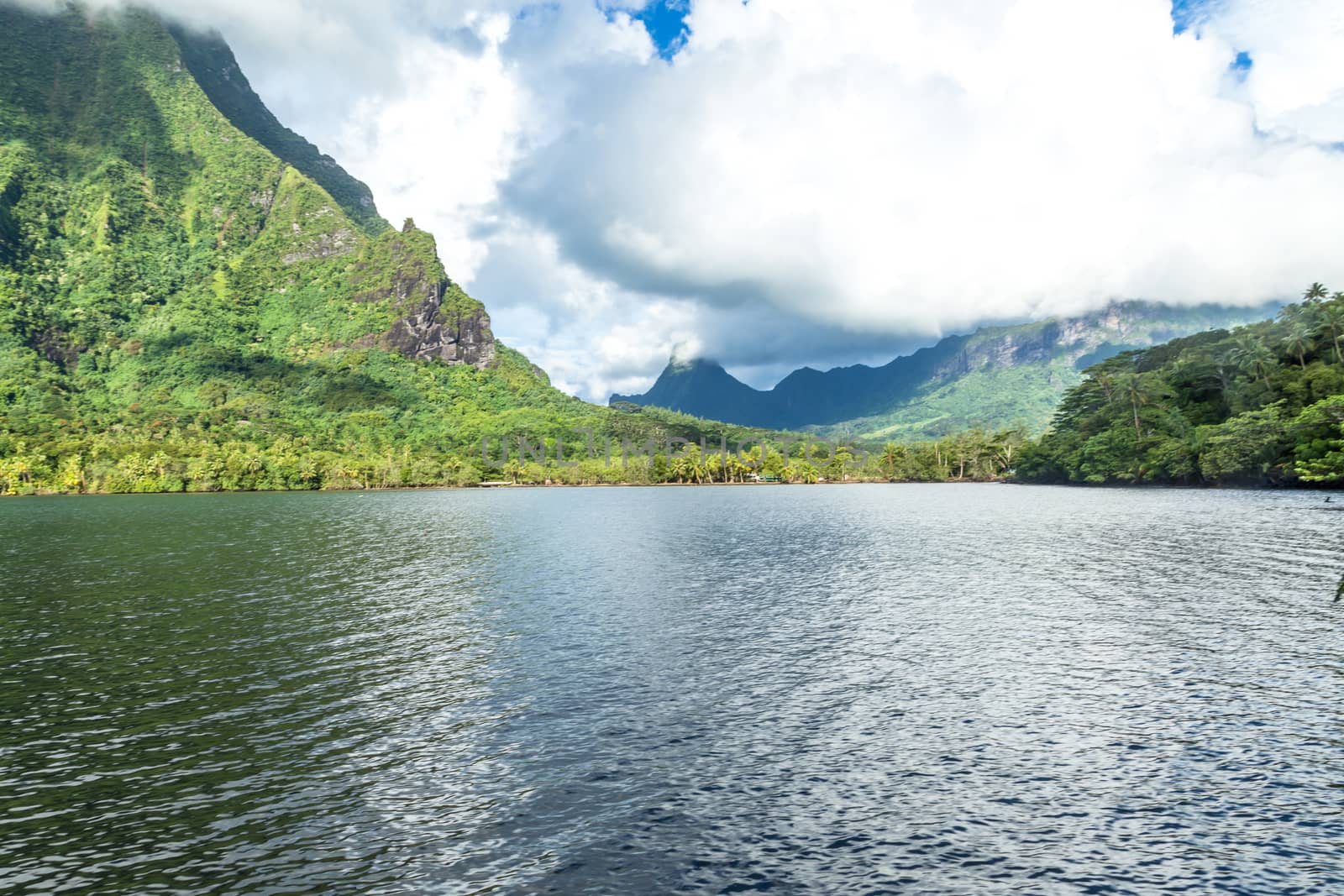 Moorea Island in the French Polynesia. by SeuMelhorClick