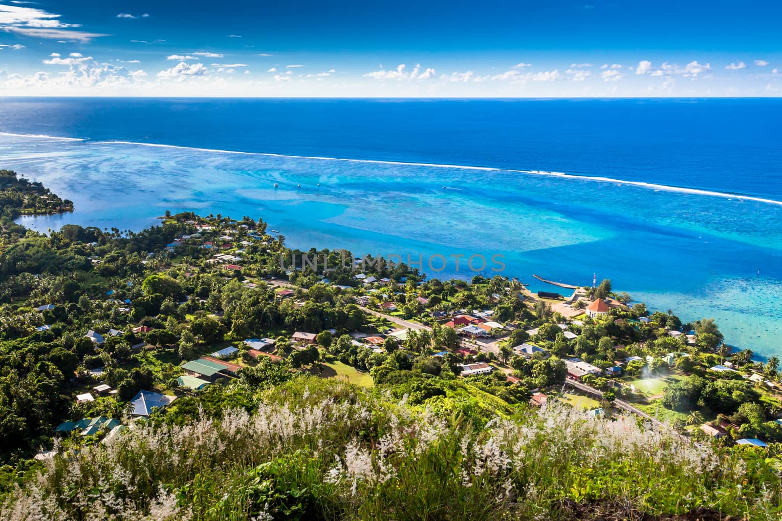 Moorea Island in the French Polynesia. by SeuMelhorClick