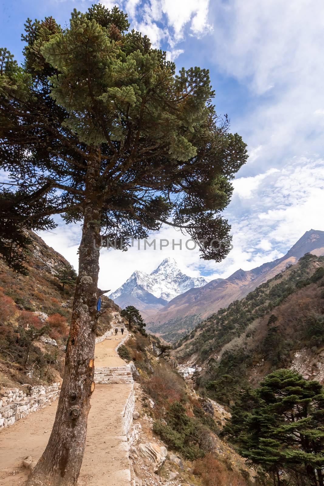 Trekking Everest Base Camp. Nepal. Asia.