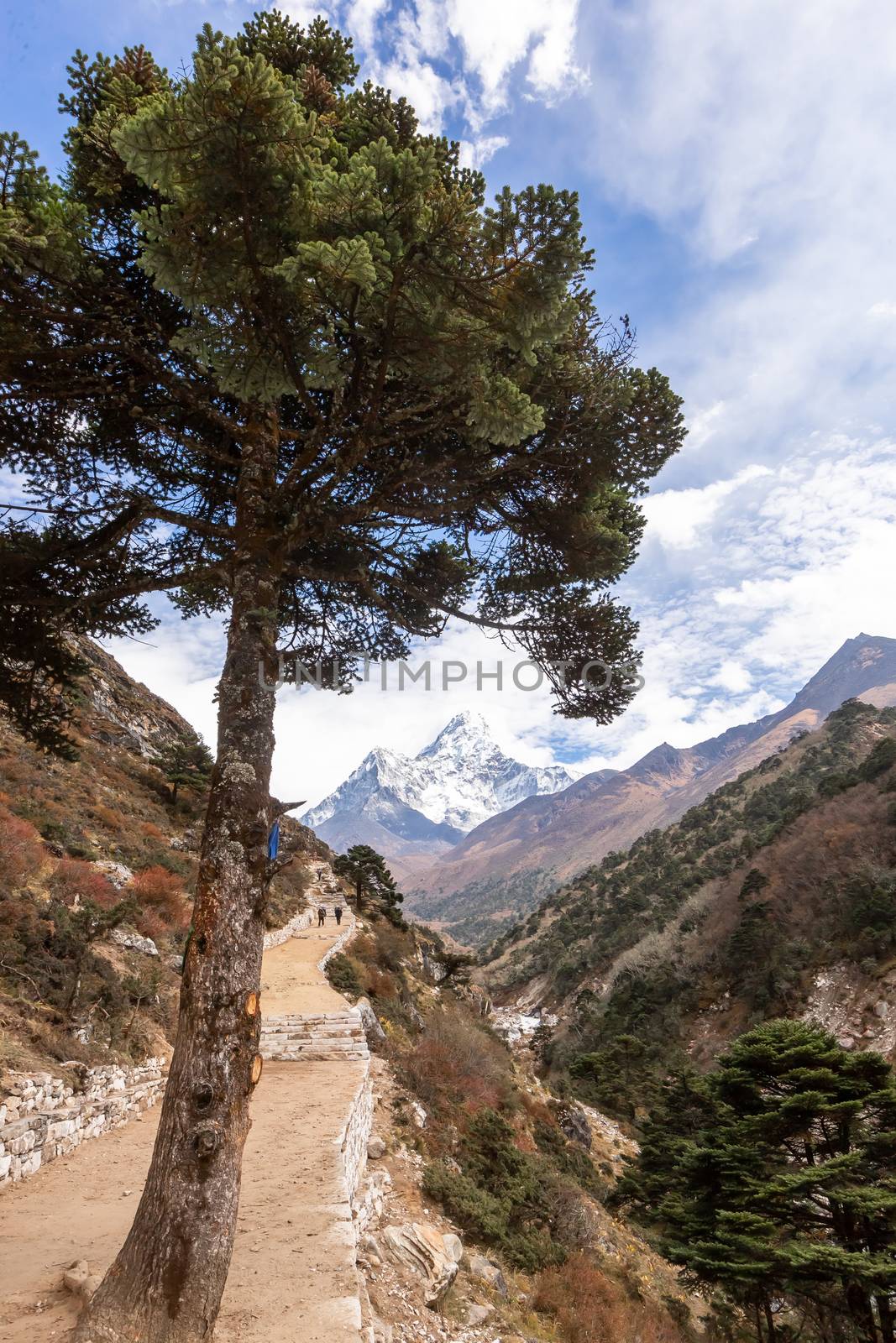 Trekking Everest Base Camp. Nepal. by SeuMelhorClick