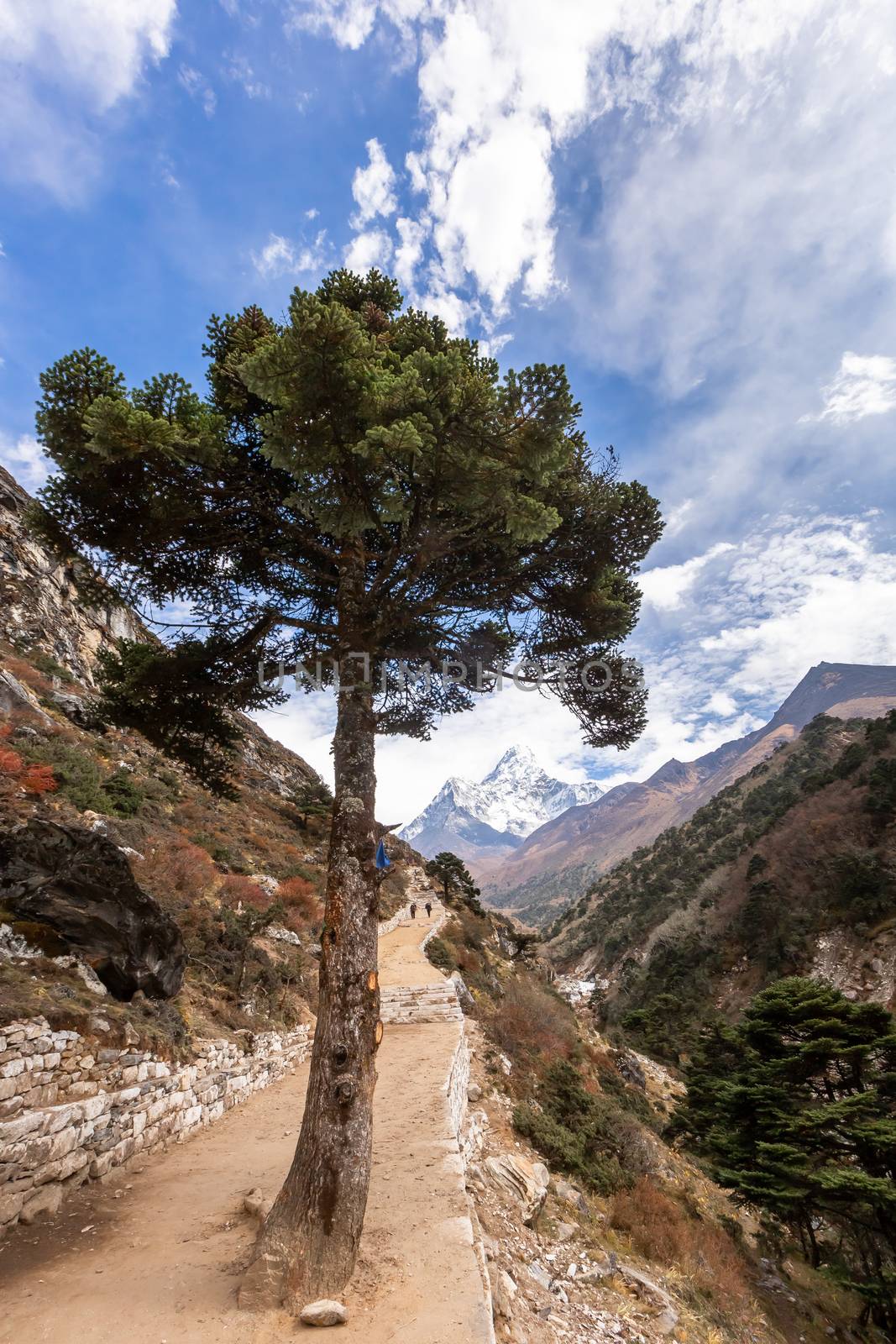 Trekking Everest Base Camp. Nepal. by SeuMelhorClick