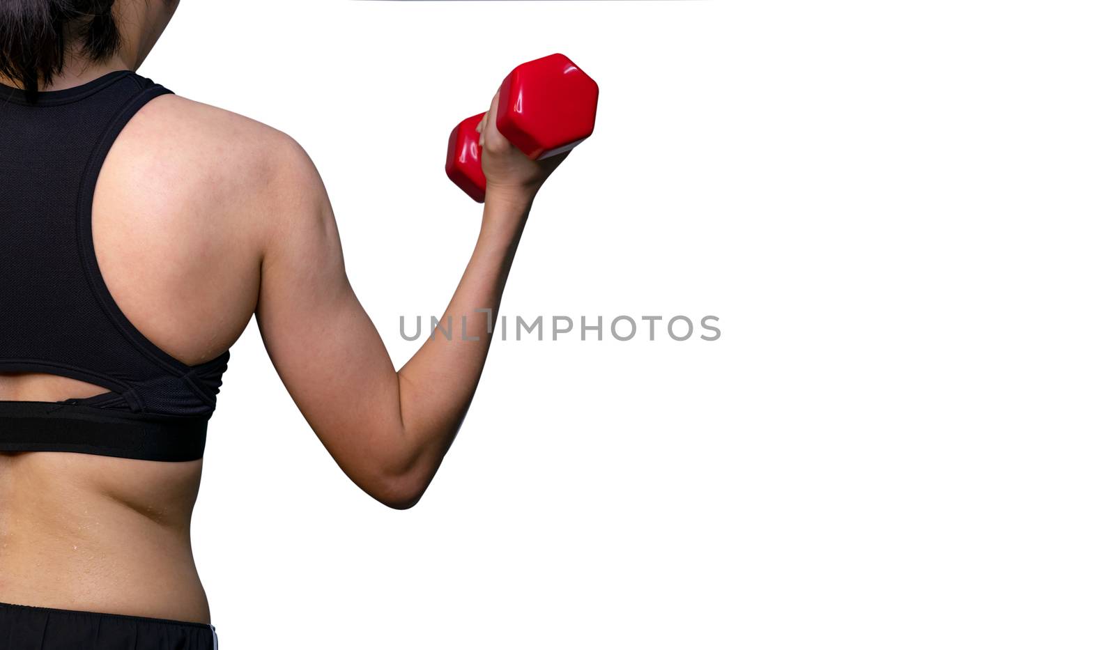 Fit woman arm exercise with red dumbbell in gym. Female weight training by personal trainer. Woman workout for strength and strong arm muscle. Sporty Asian active girl lifting dumbbell for weight loss