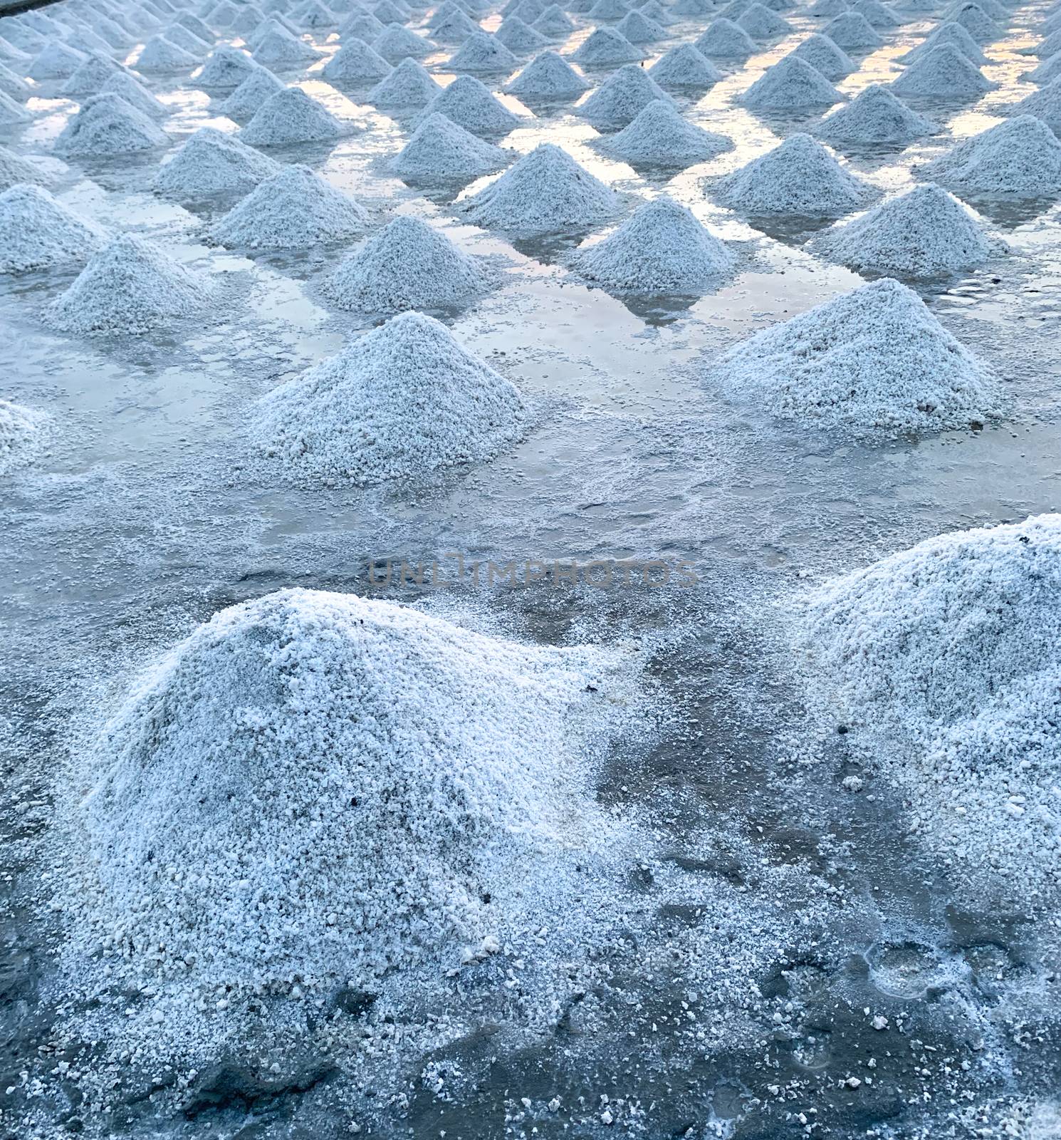 Sea salt farm at Samut Sakhon, Thailand. Organic sea salt. Evaporation and crystallization of sea water. Raw material of salt industrial. Sodium Chloride. Solar evaporation system. Iodine source. 