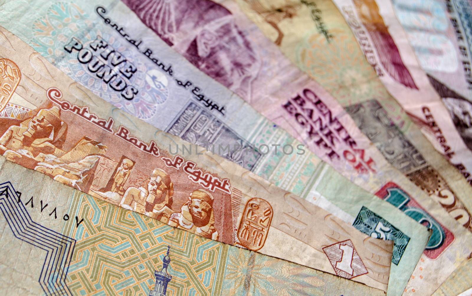 A fan of Egyptian banknotes ranging from 25 piastres to 100 pounds.  Used banknotes, photographed at an angle.