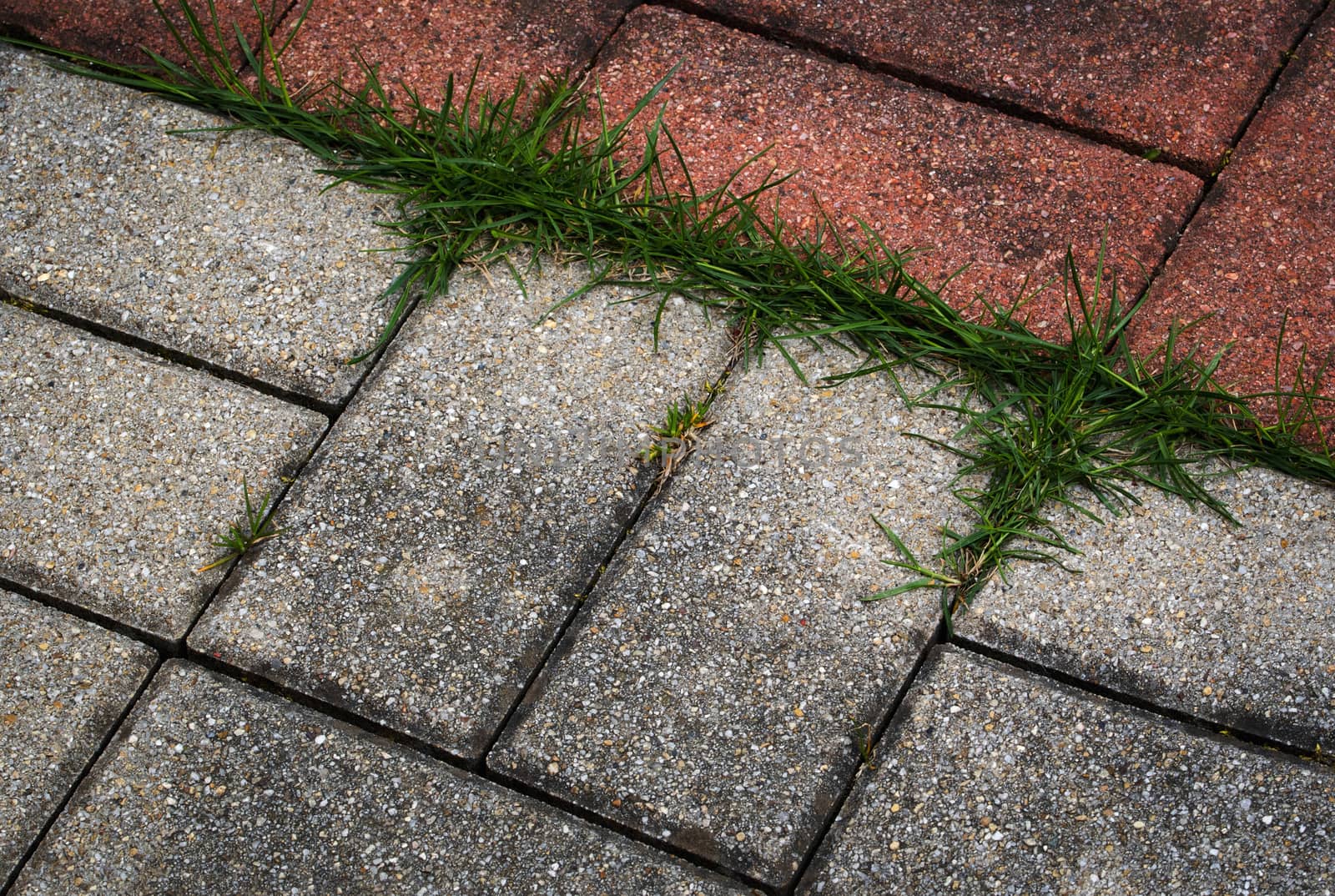 interlocking paving rectangles overgrown with grass by Ahojdoma